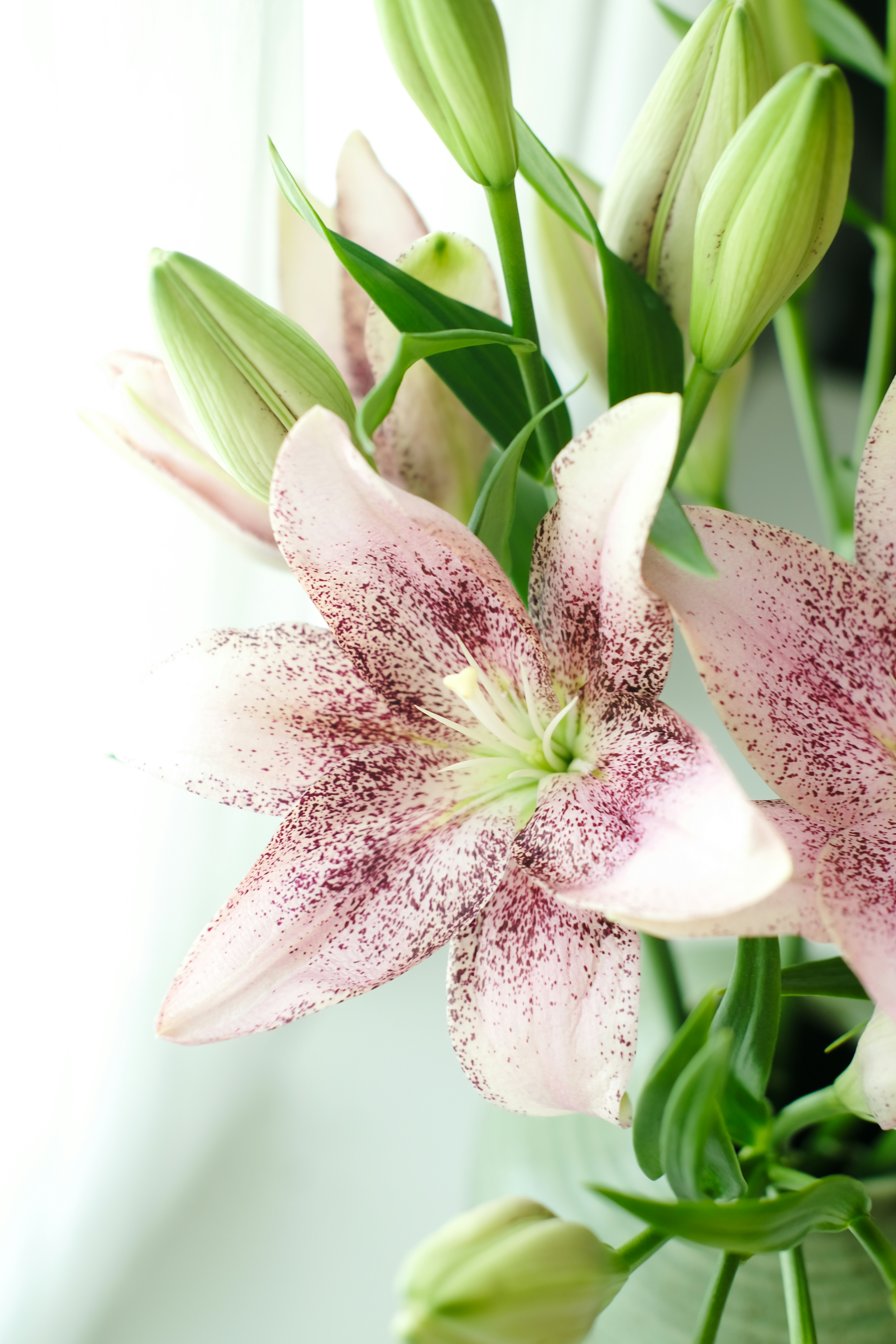 Photo by nganduong93