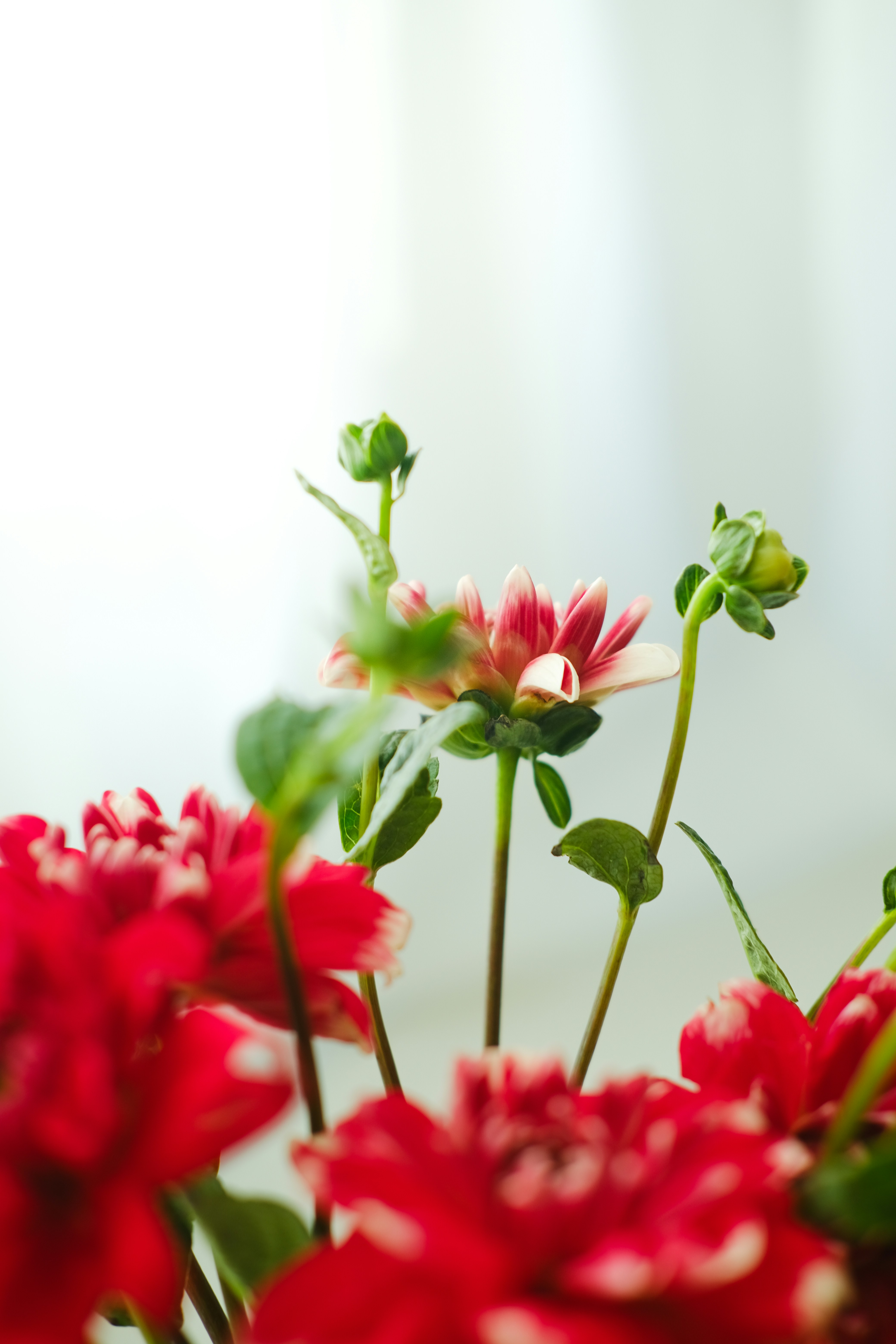 Photo by nganduong93