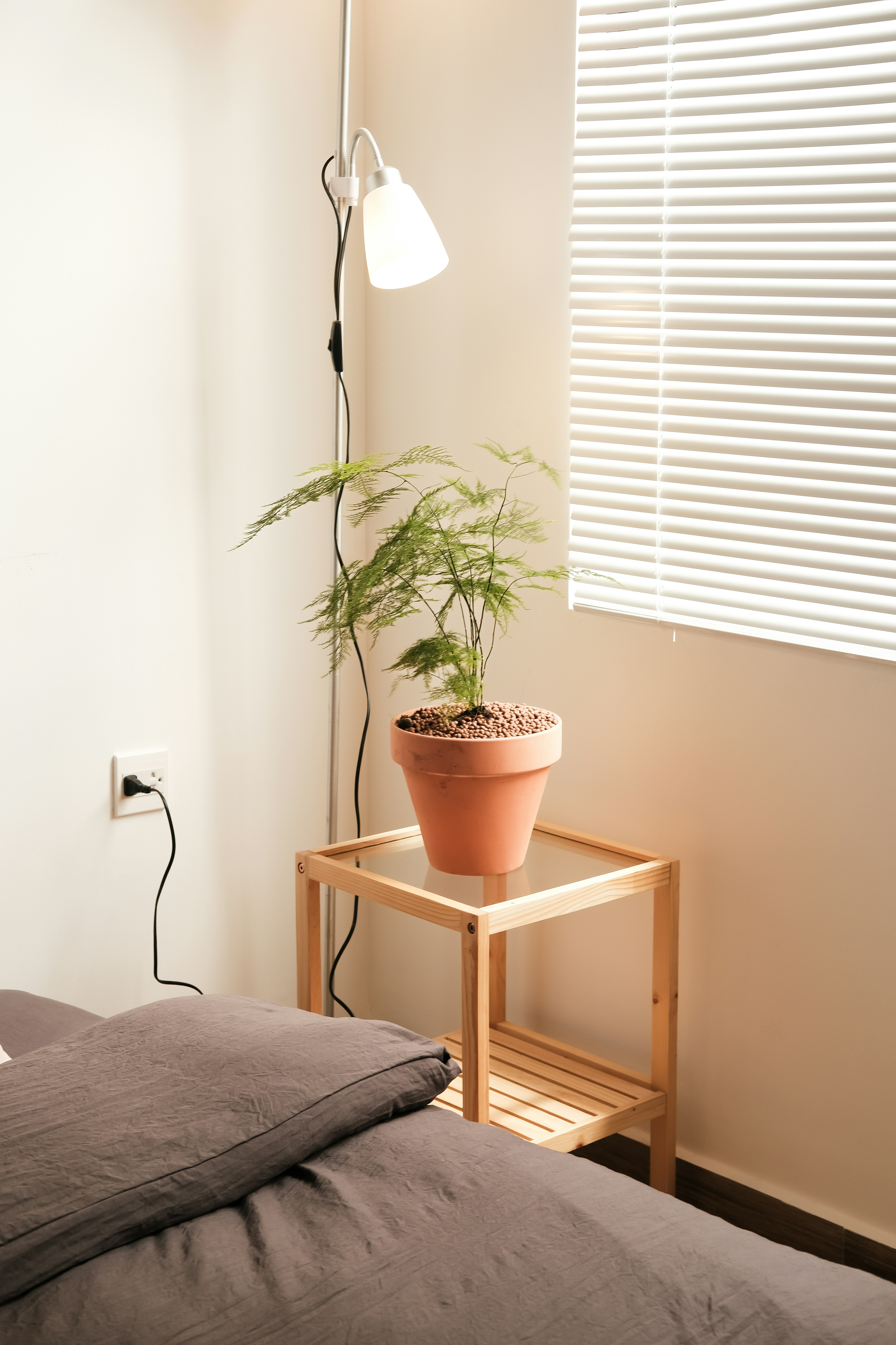 a bed with a plant on top of it