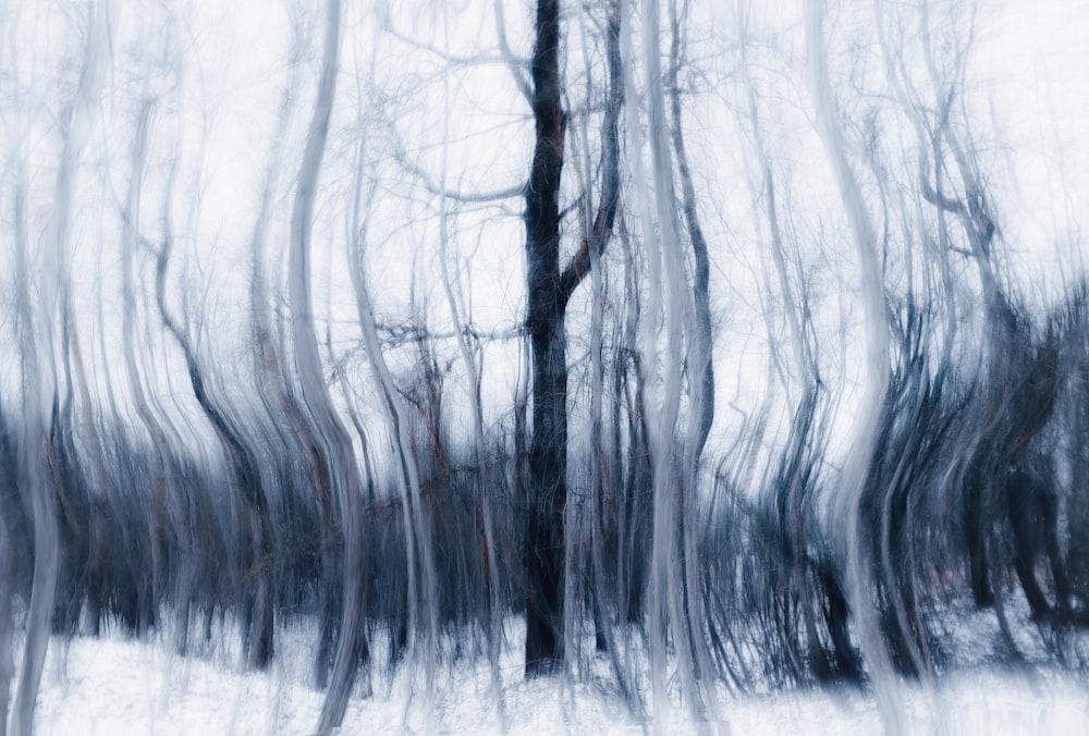a blurry photo of trees in the snow