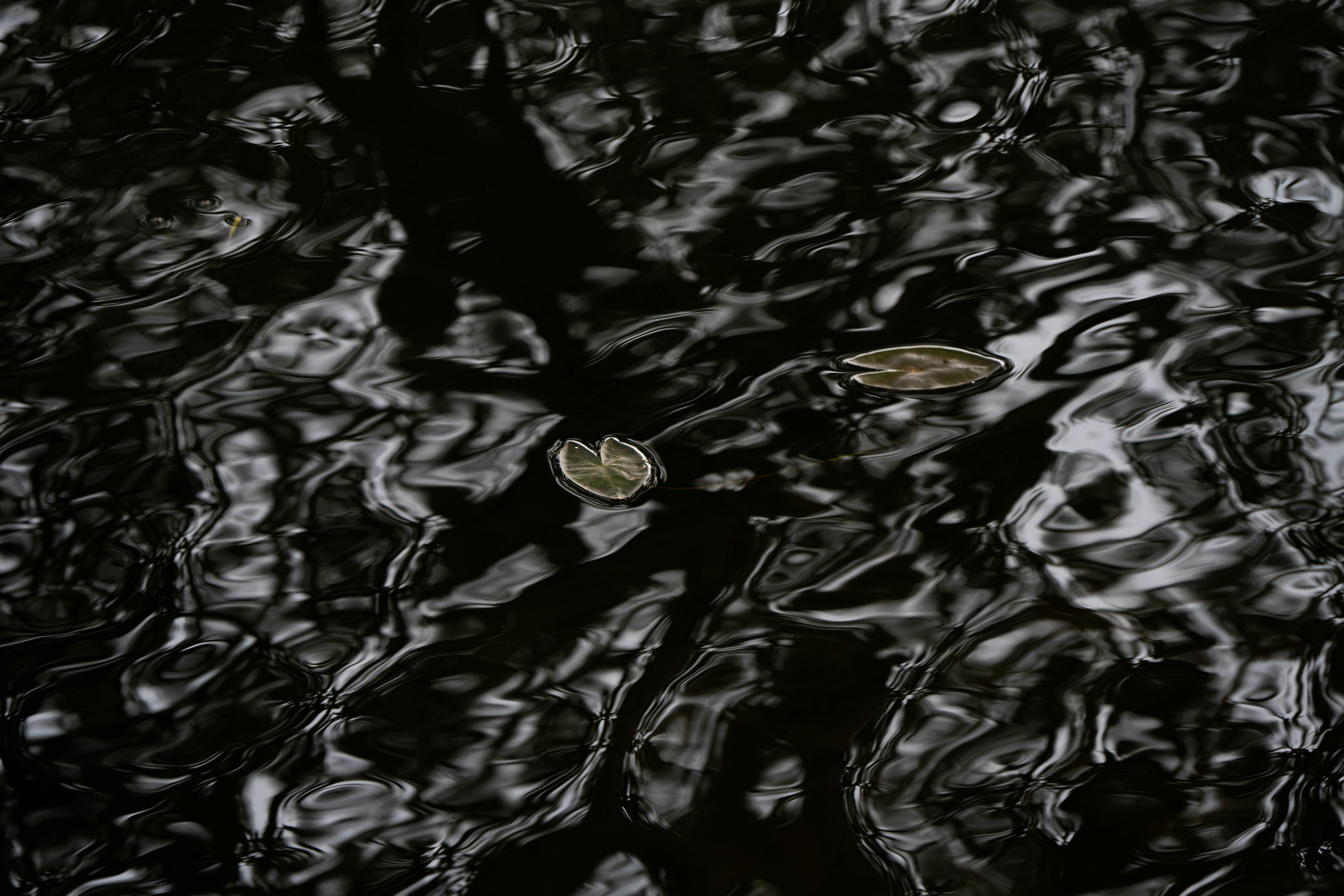 Photo by arpit_dhore