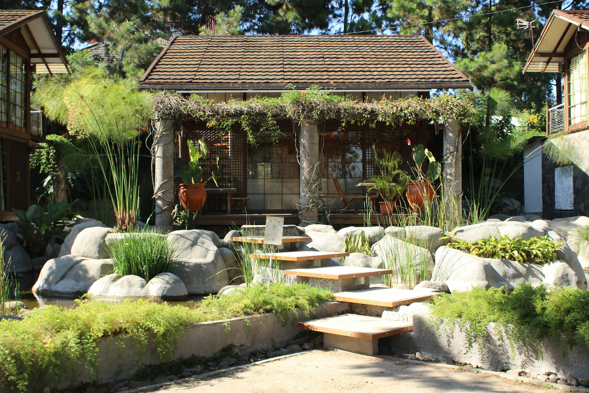 a house that has a lot of plants in it