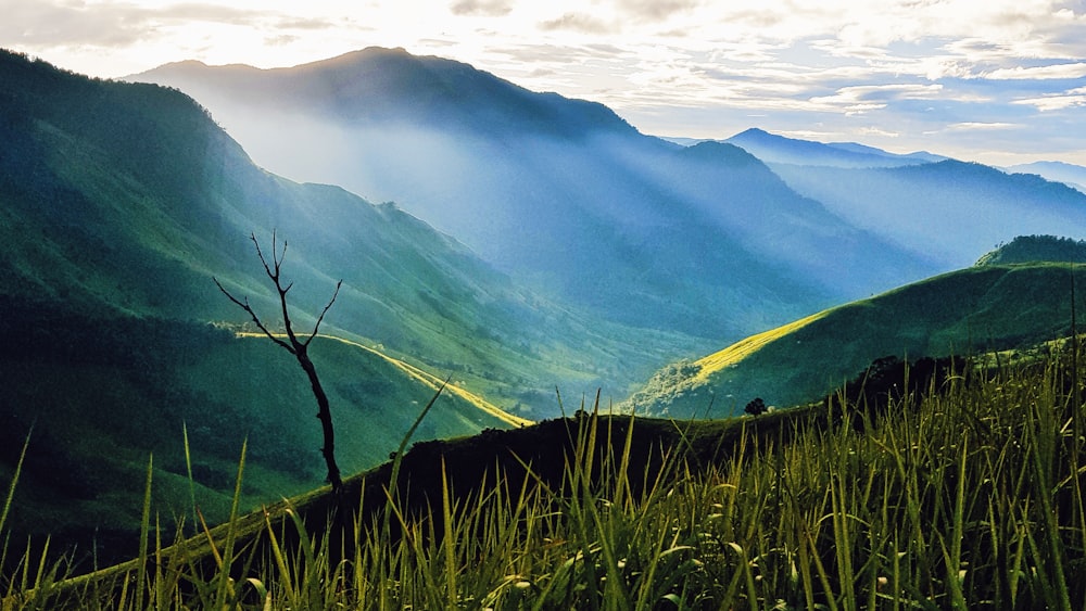 a view of a valley with mountains in the background