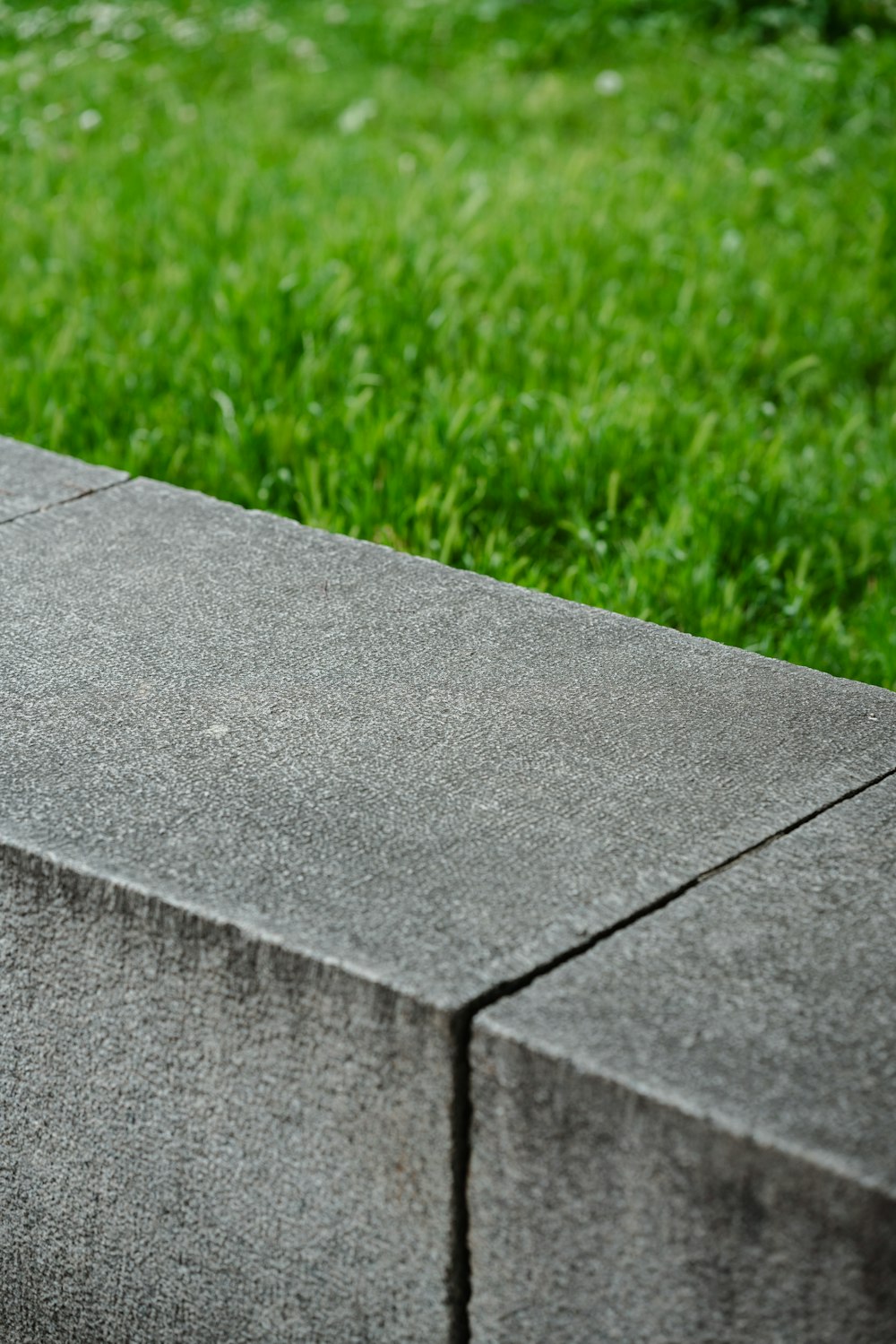 a bird sitting on top of a cement bench