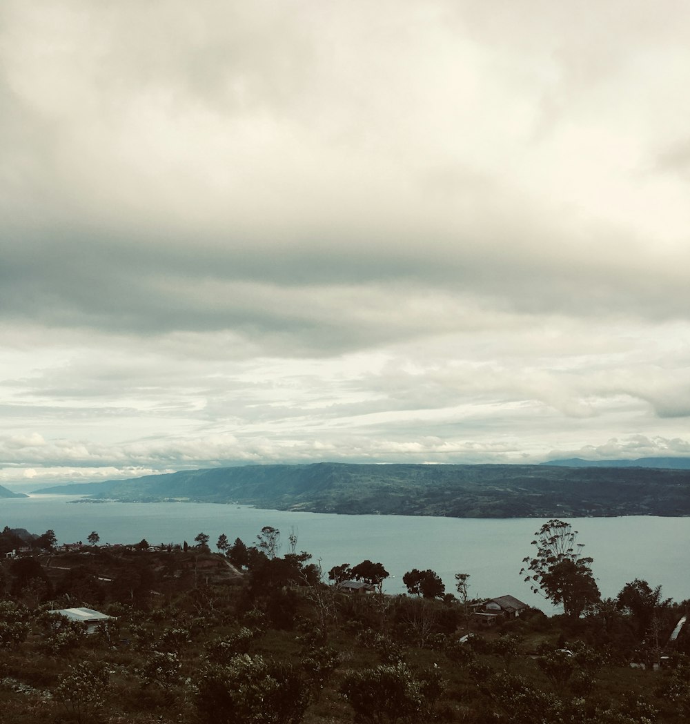 a view of a body of water from a hill