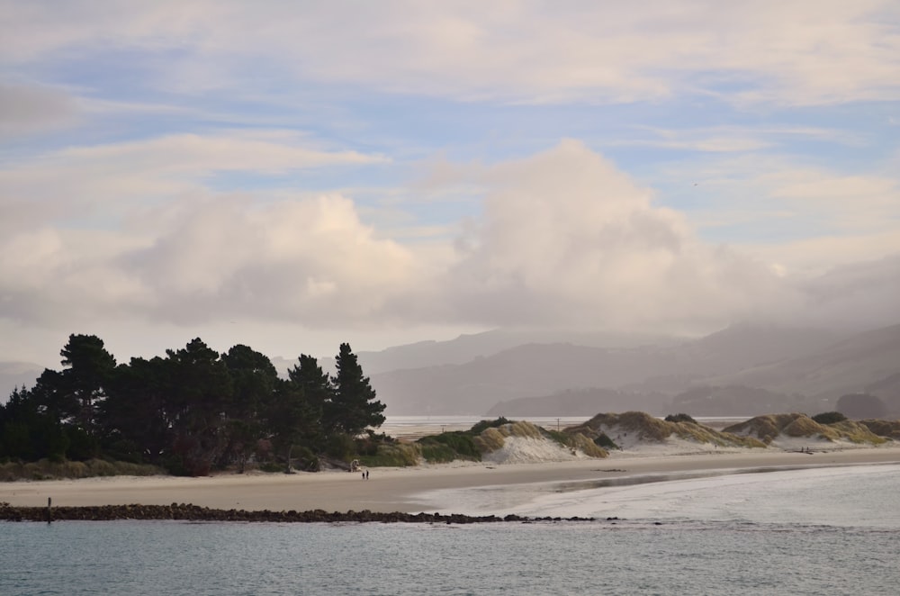 a body of water surrounded by mountains and trees