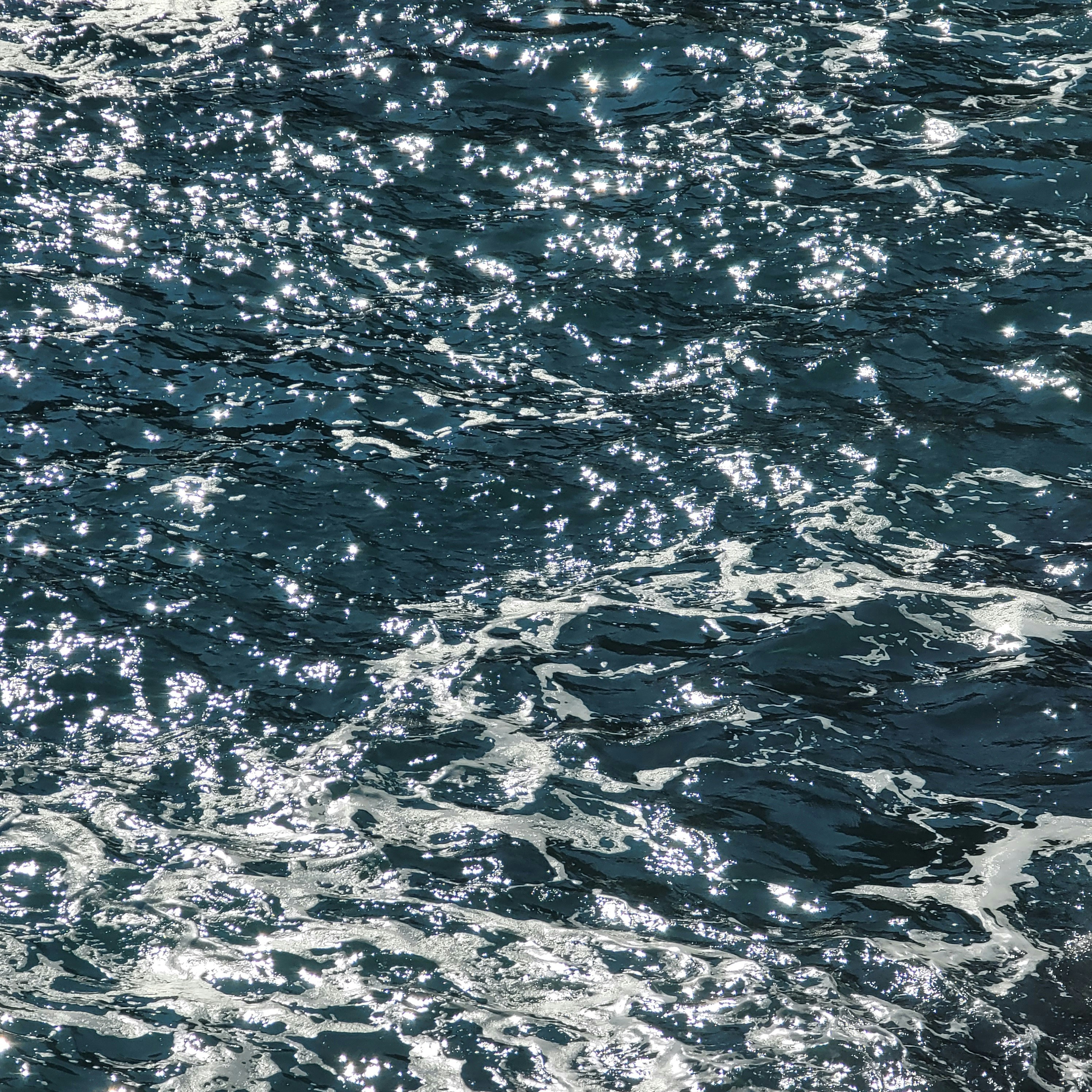 Photo by sunfish_sun