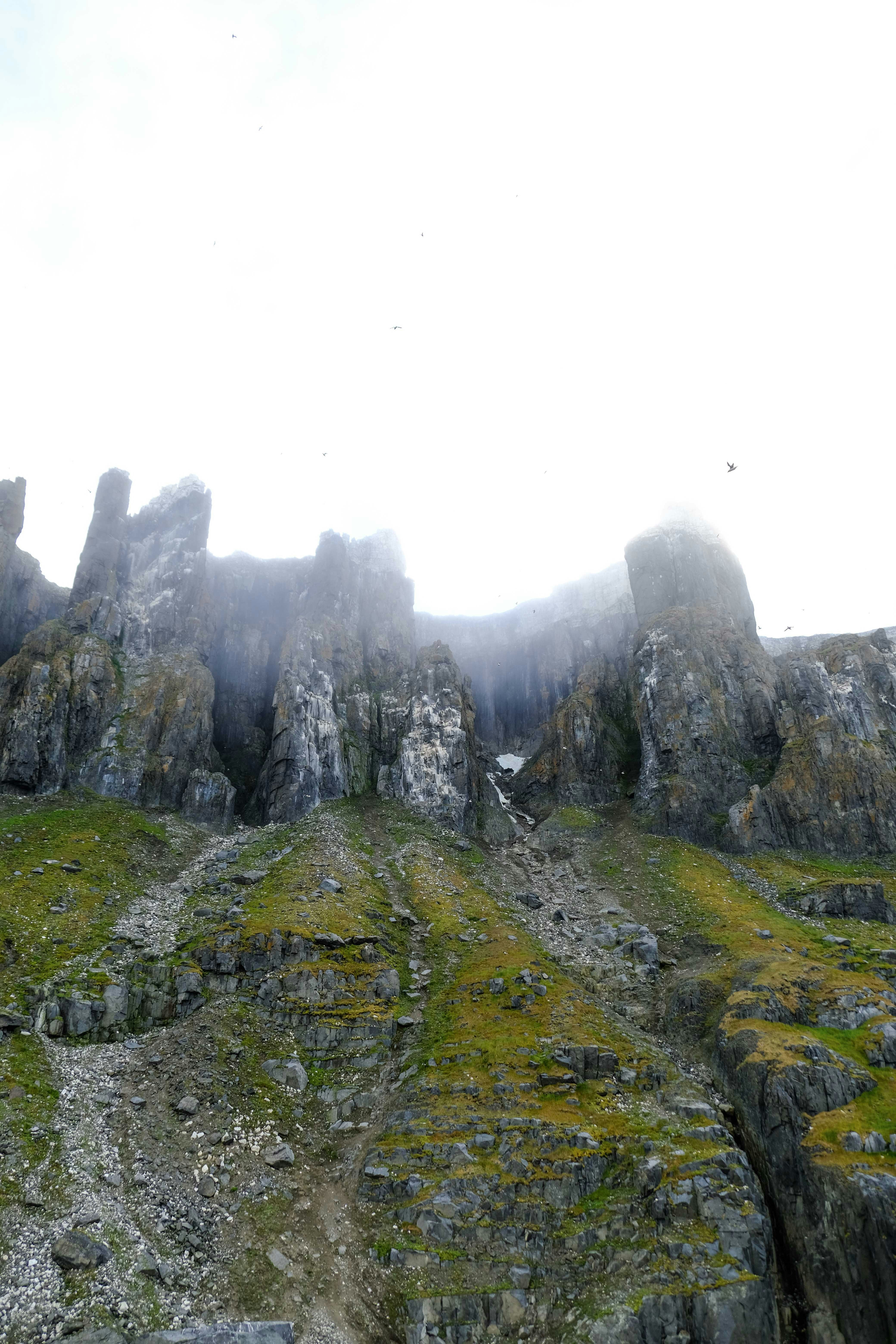 Photo by francesco_ungaro