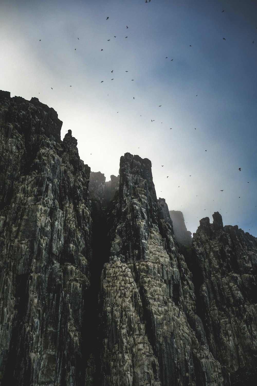 a group of birds flying over a rocky mountain