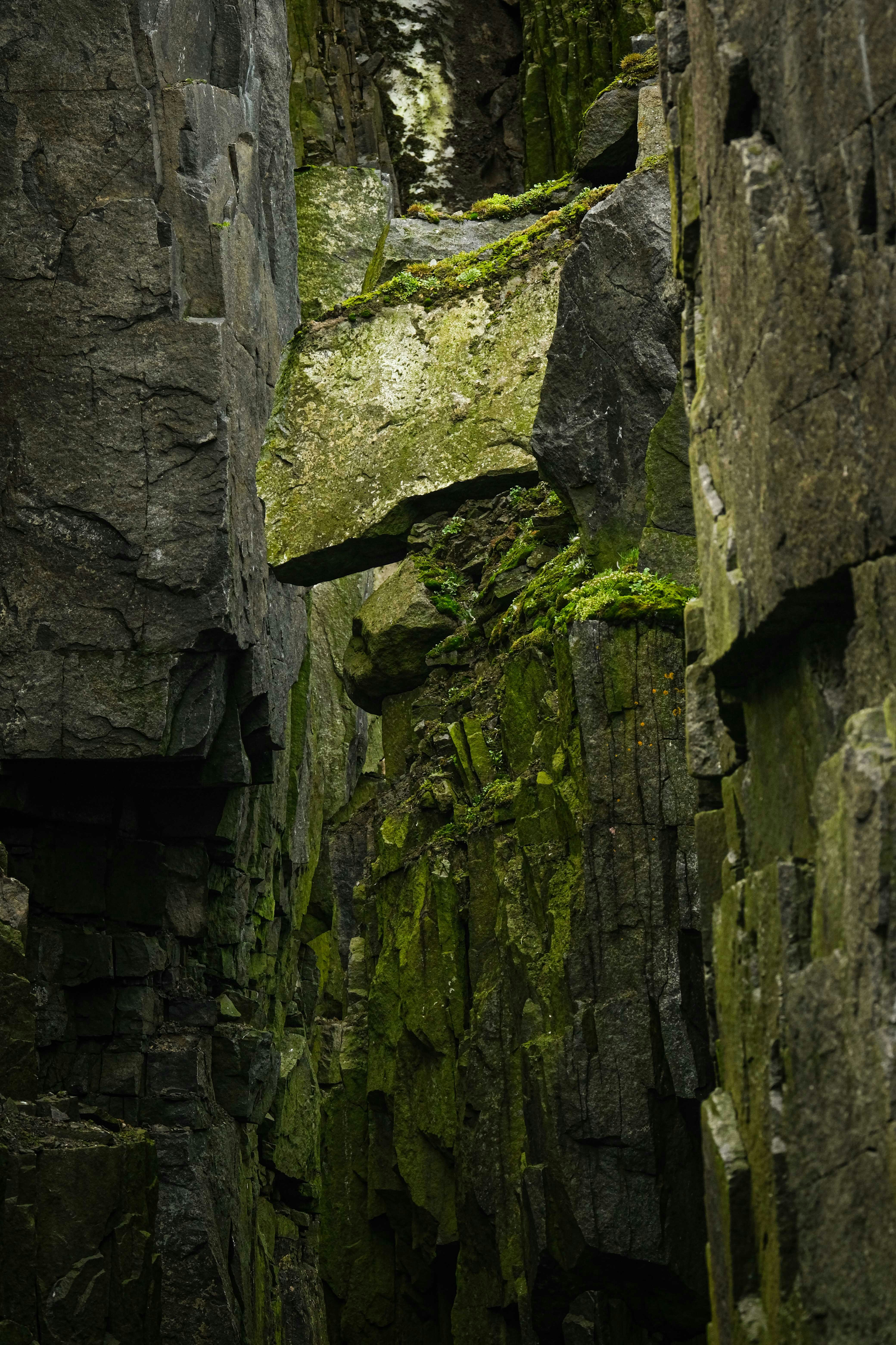 Photo by francesco_ungaro