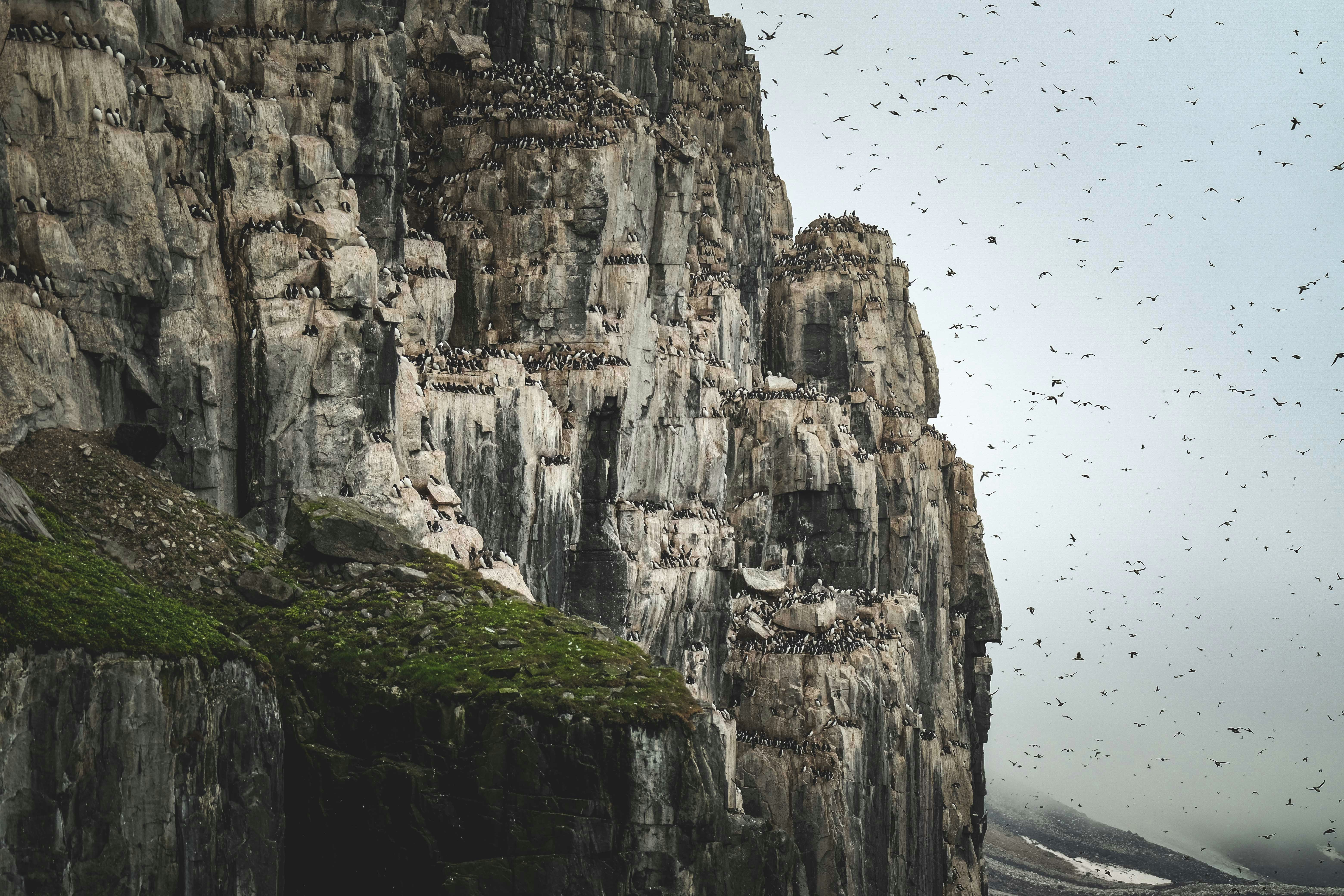 Photo by francesco_ungaro