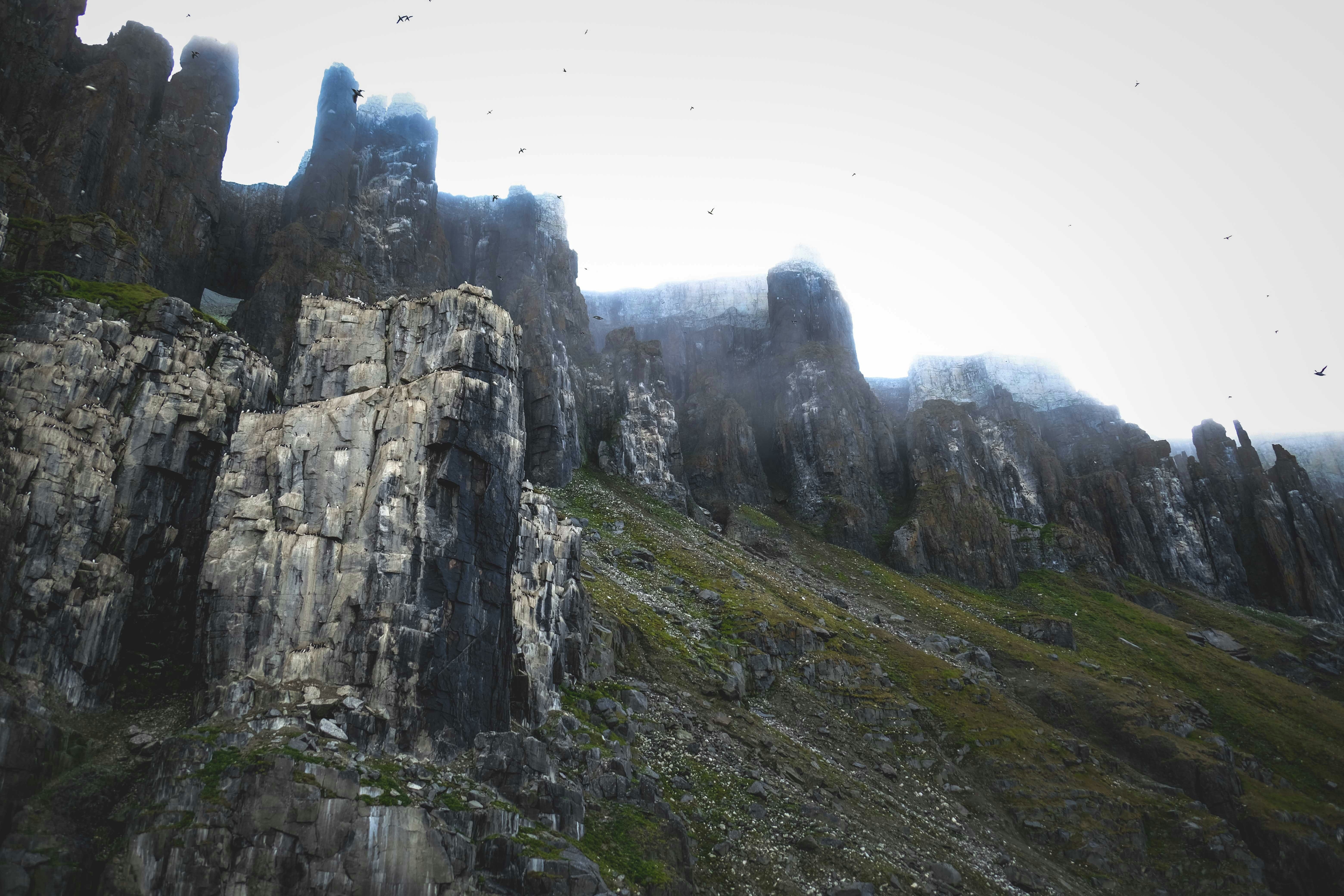 Photo by francesco_ungaro