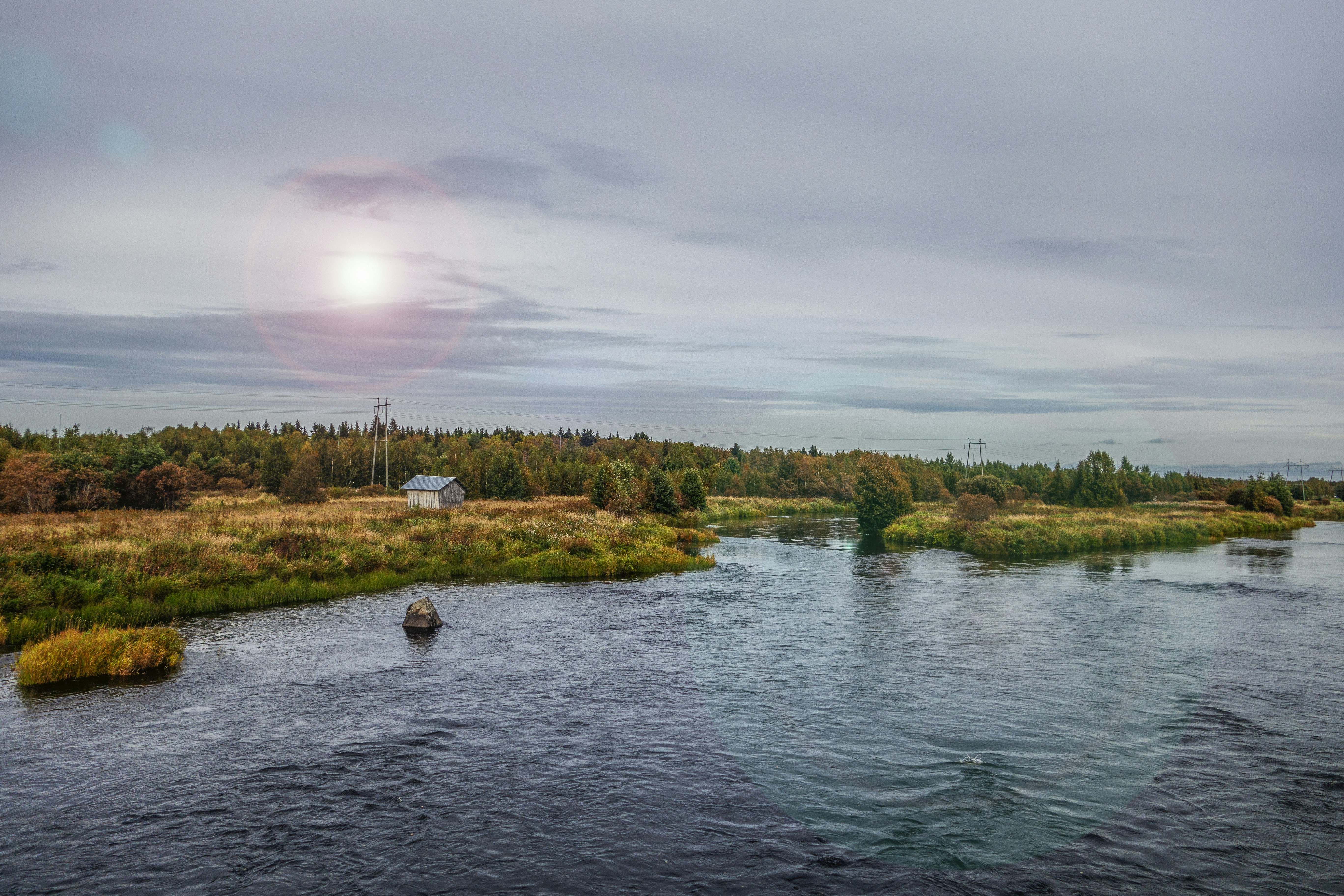 a river running through a lush green forest