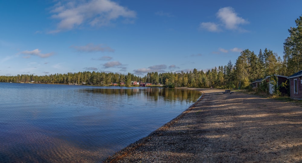 a body of water surrounded by a forest