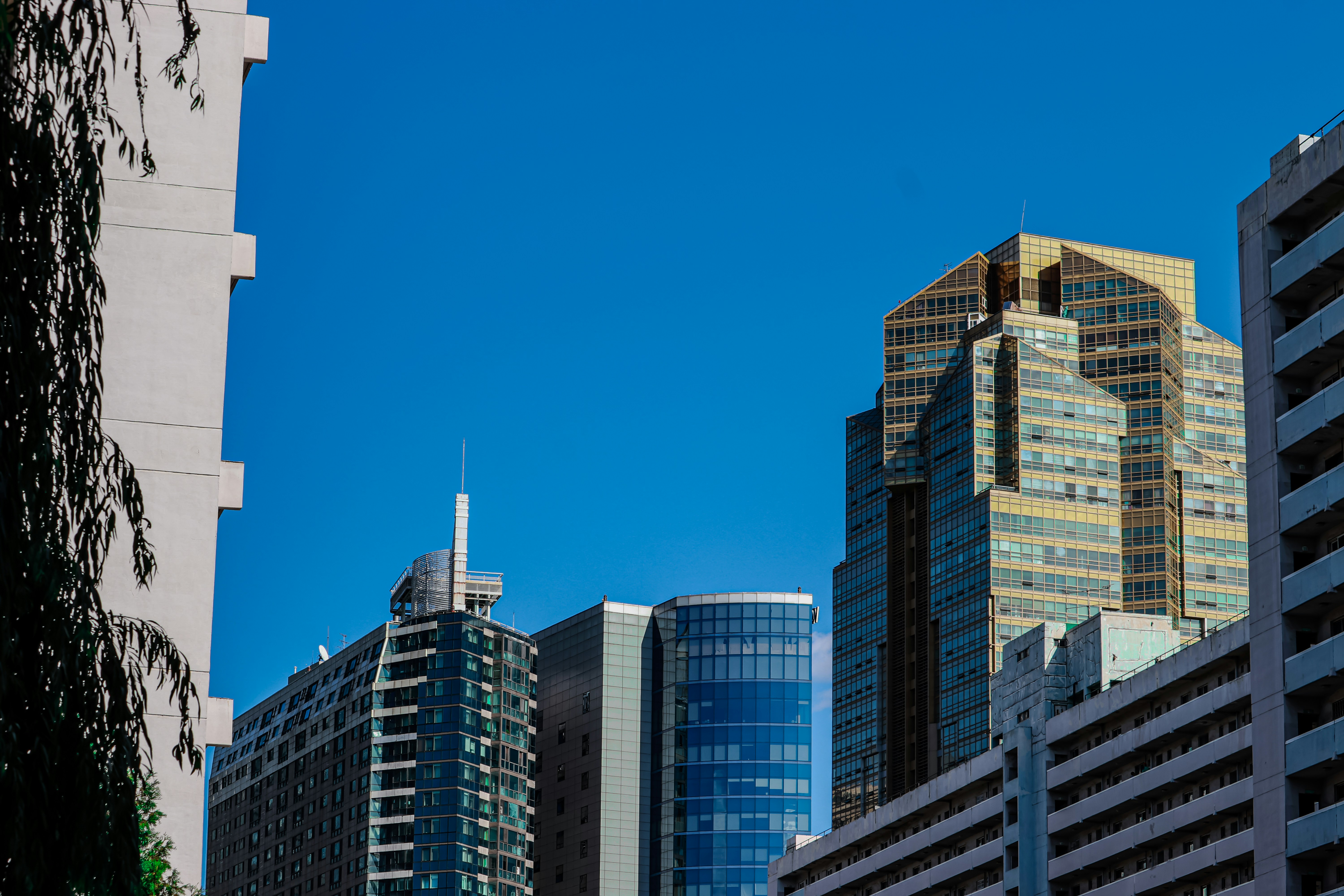 Photo by love4ladybug_pic