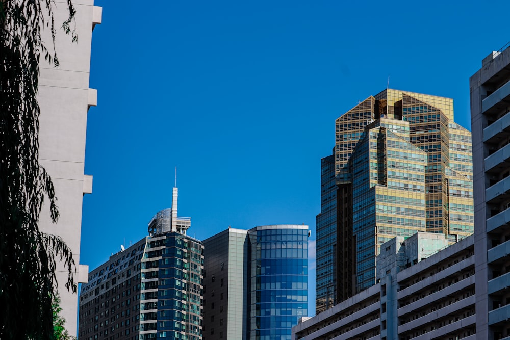 a group of tall buildings in a city