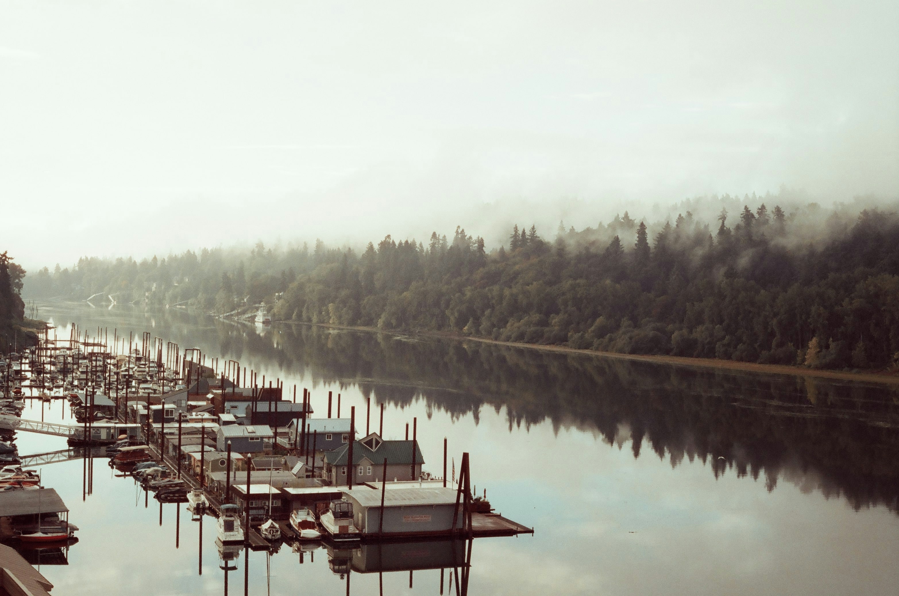 a body of water filled with lots of boats