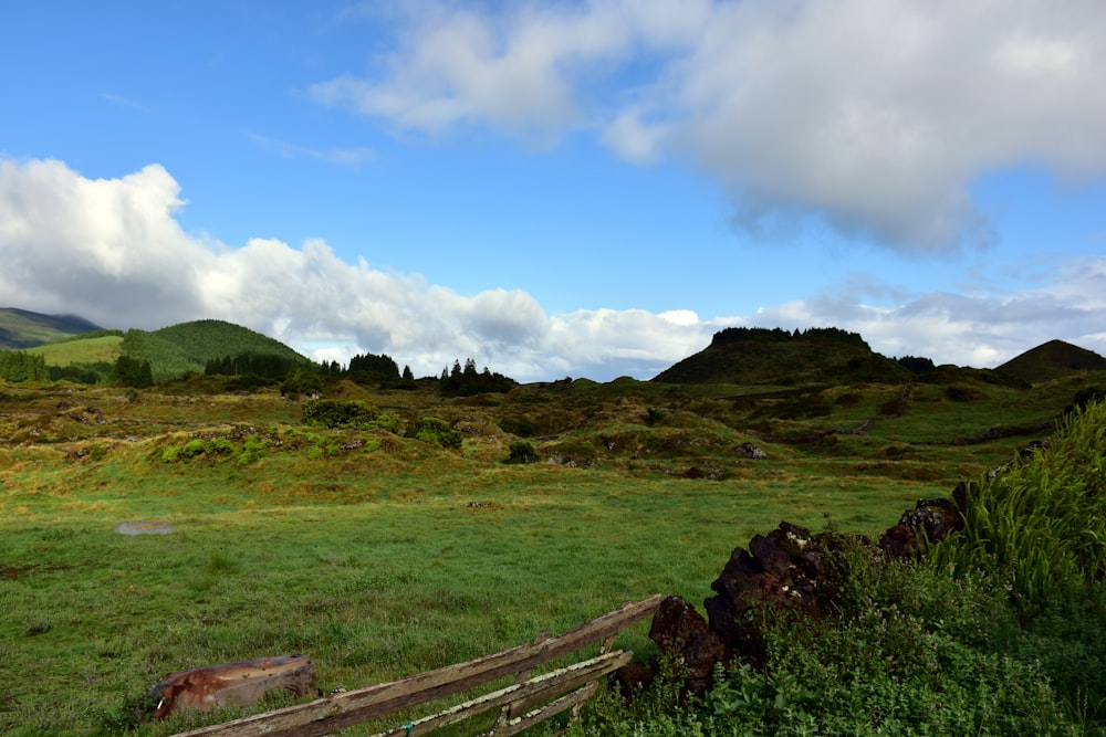 a grassy field with mountains in the background