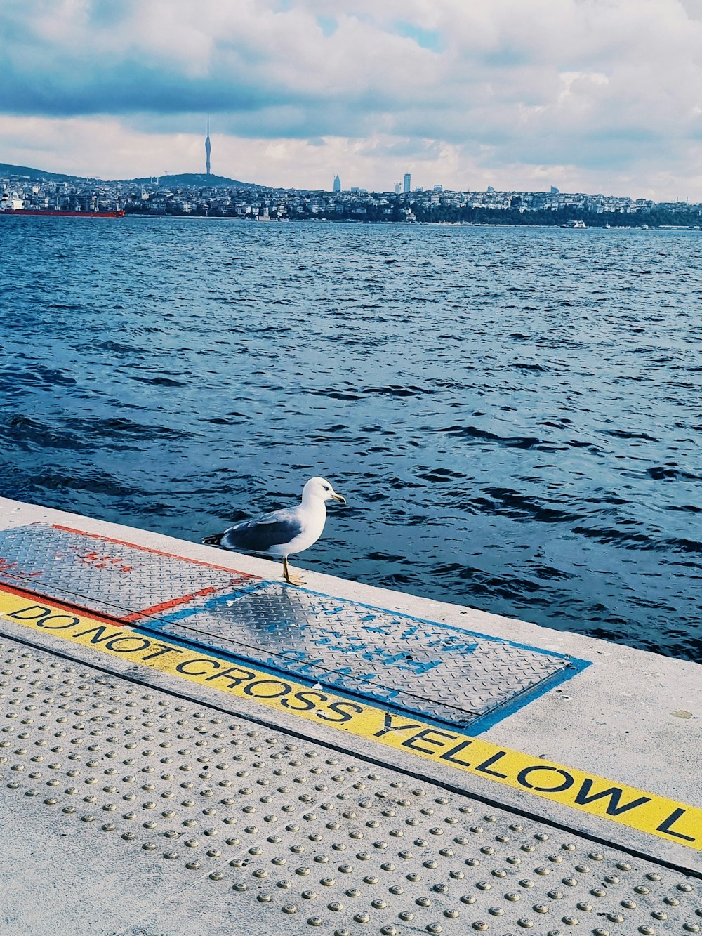 a seagull sitting on the edge of a pier