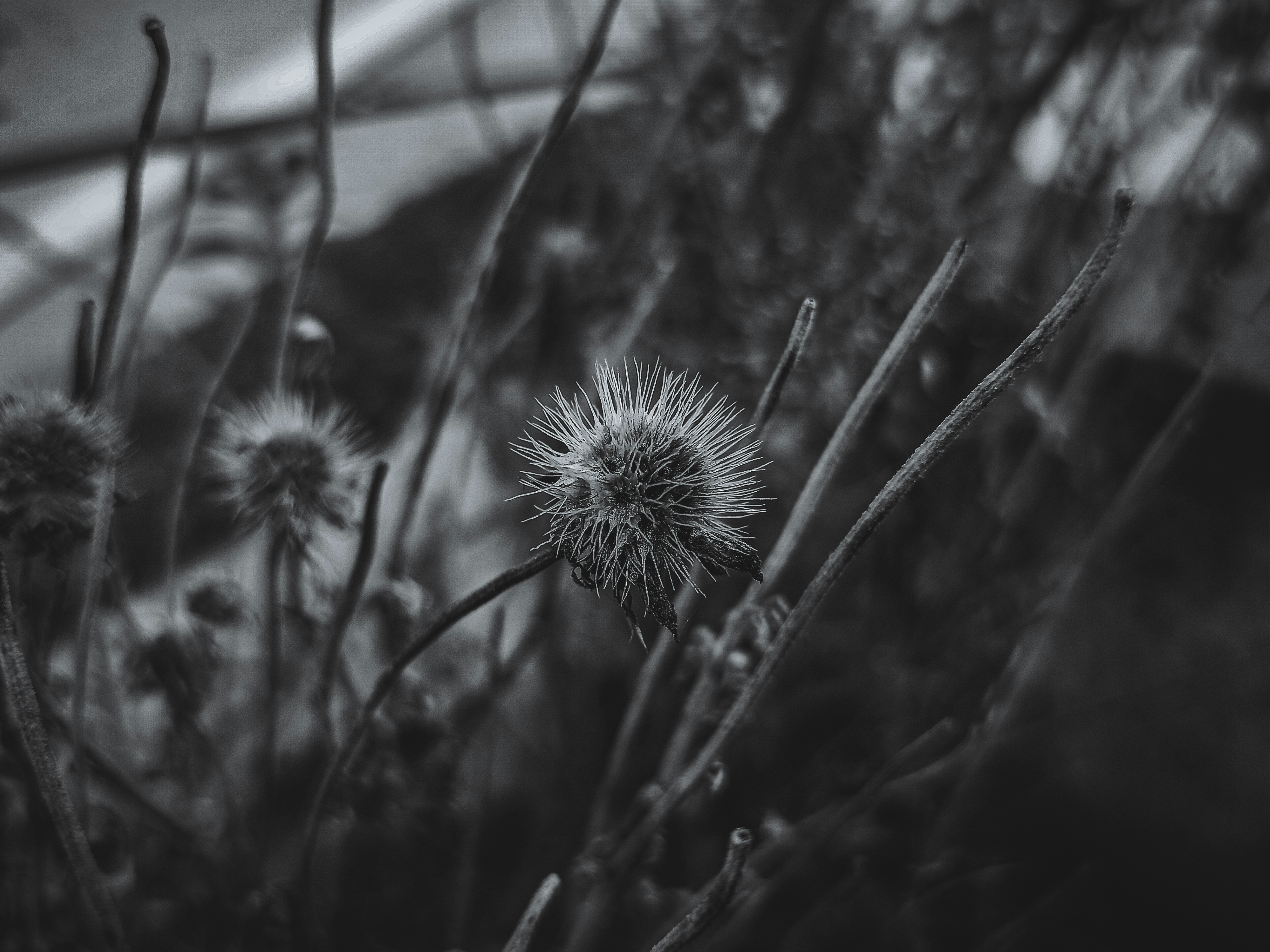 Photo by 18_erashots