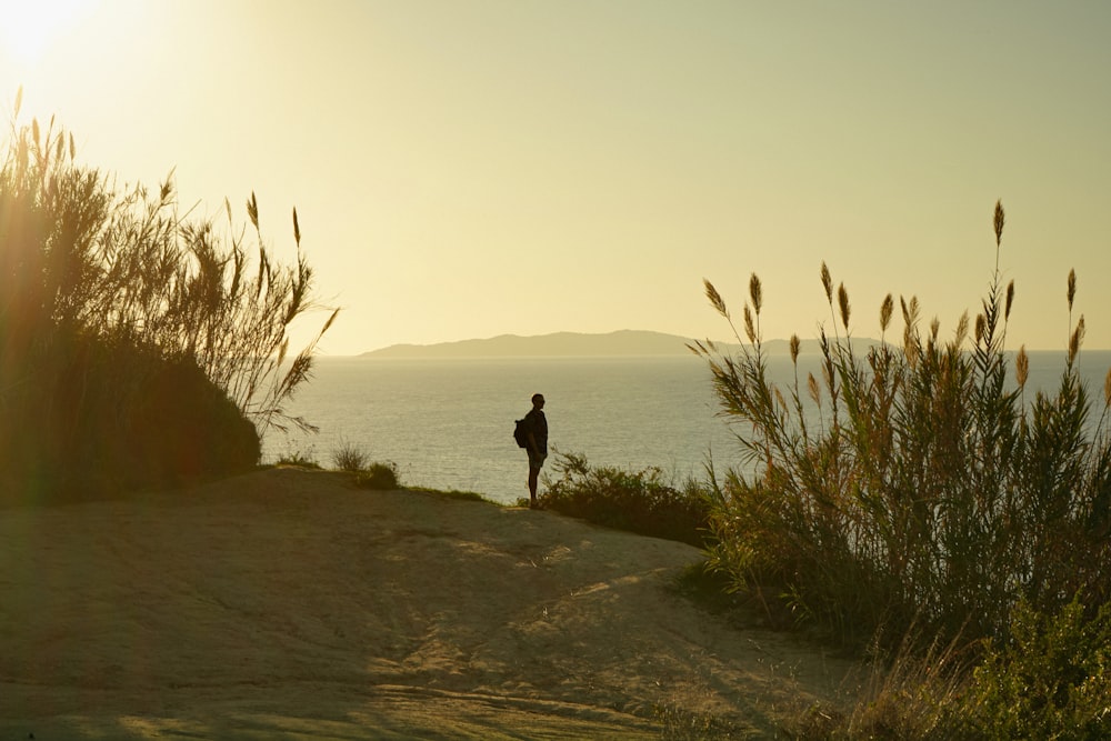 a person standing on top of a hill near the ocean