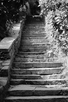 a black and white photo of a set of stairs