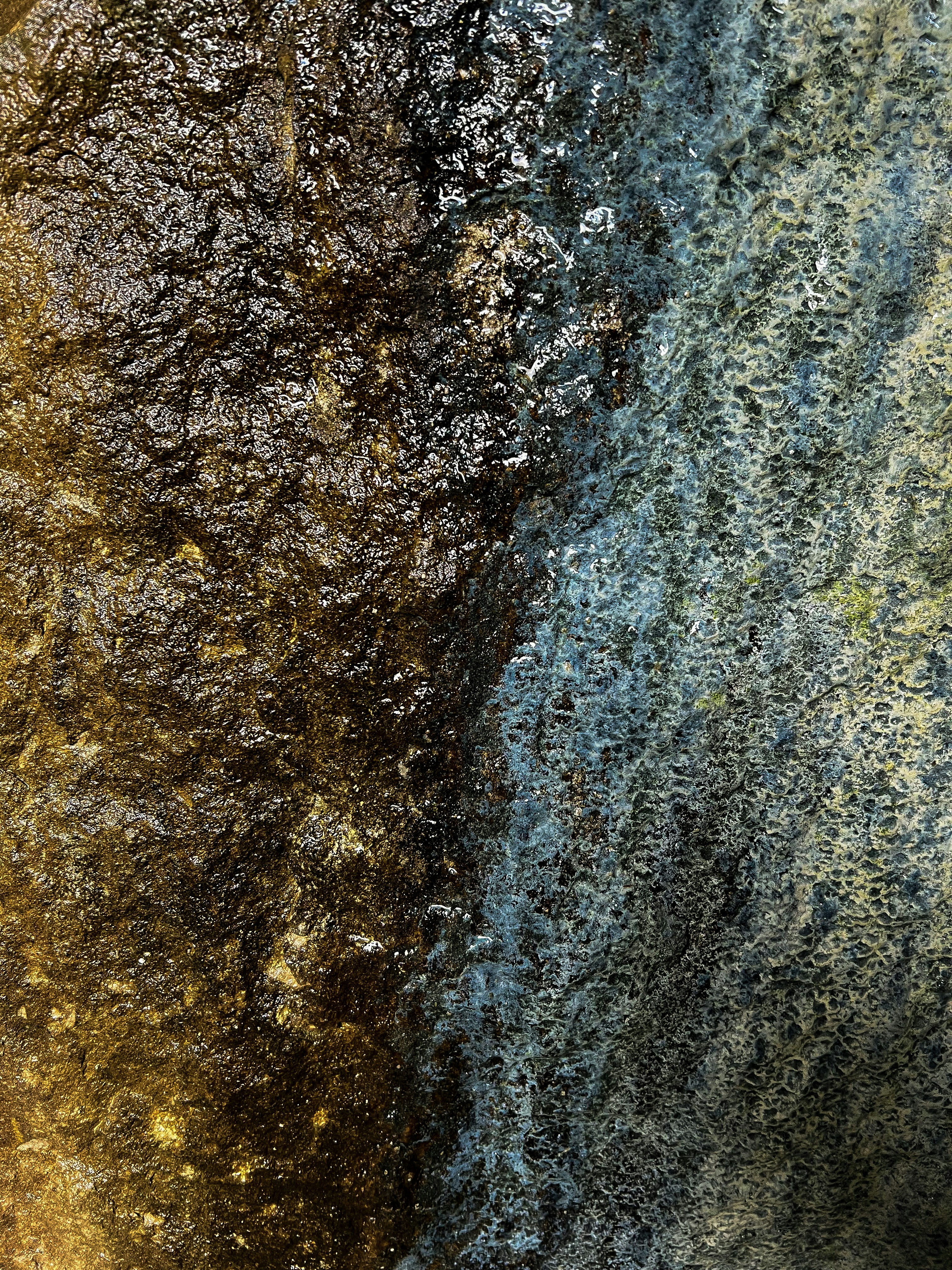 Photo by daaannorris