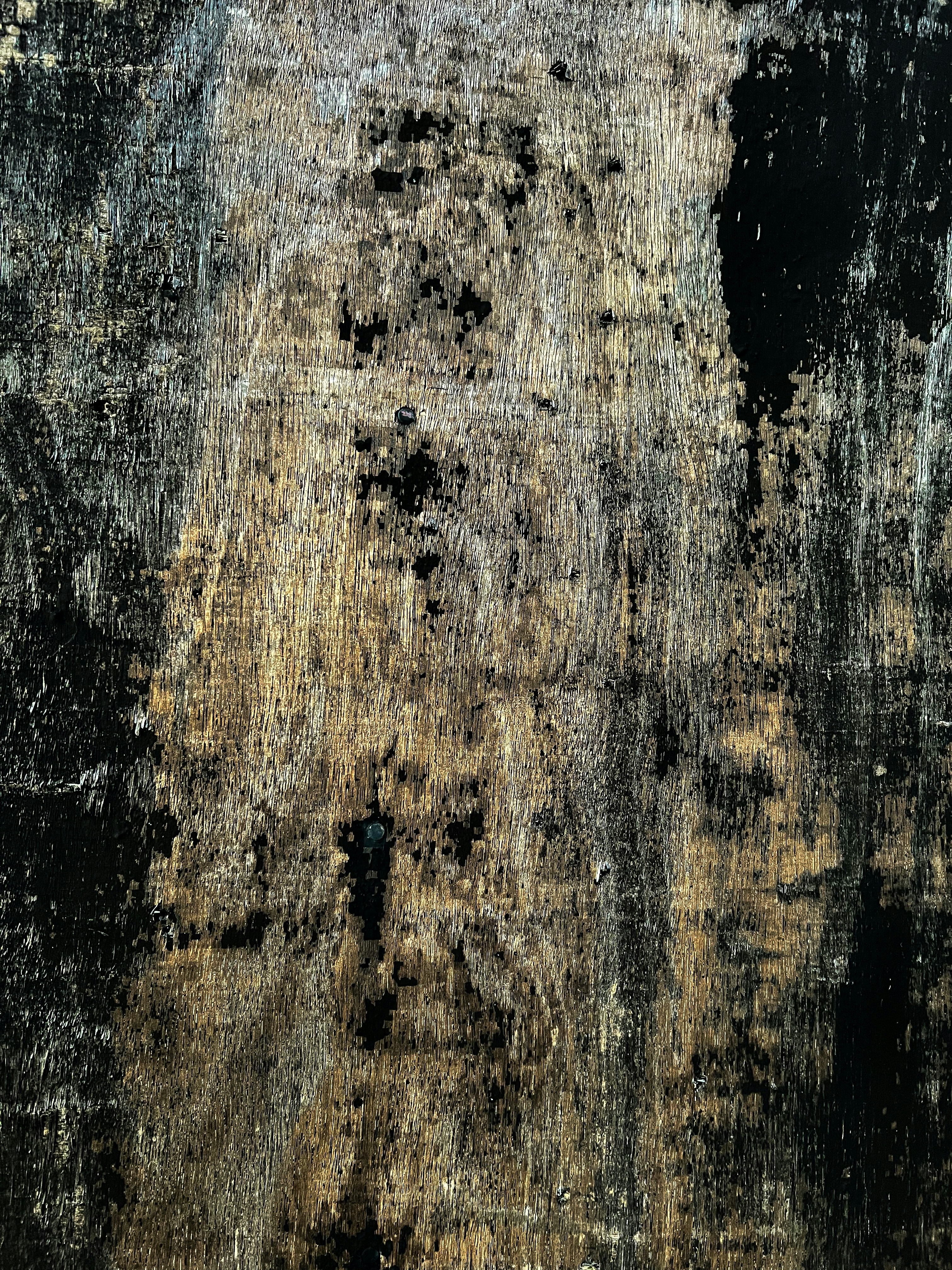 Photo by daaannorris