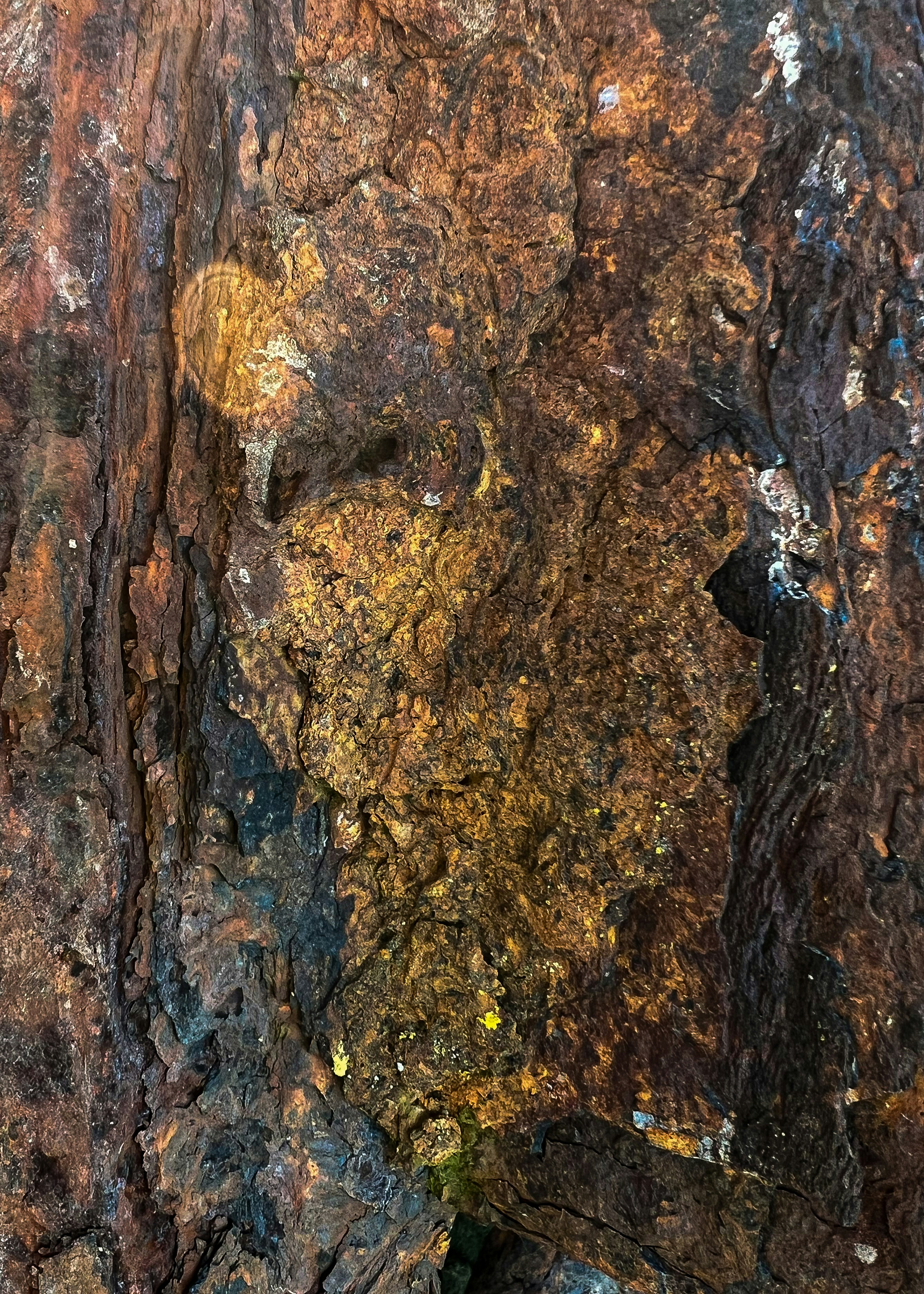 Photo by daaannorris