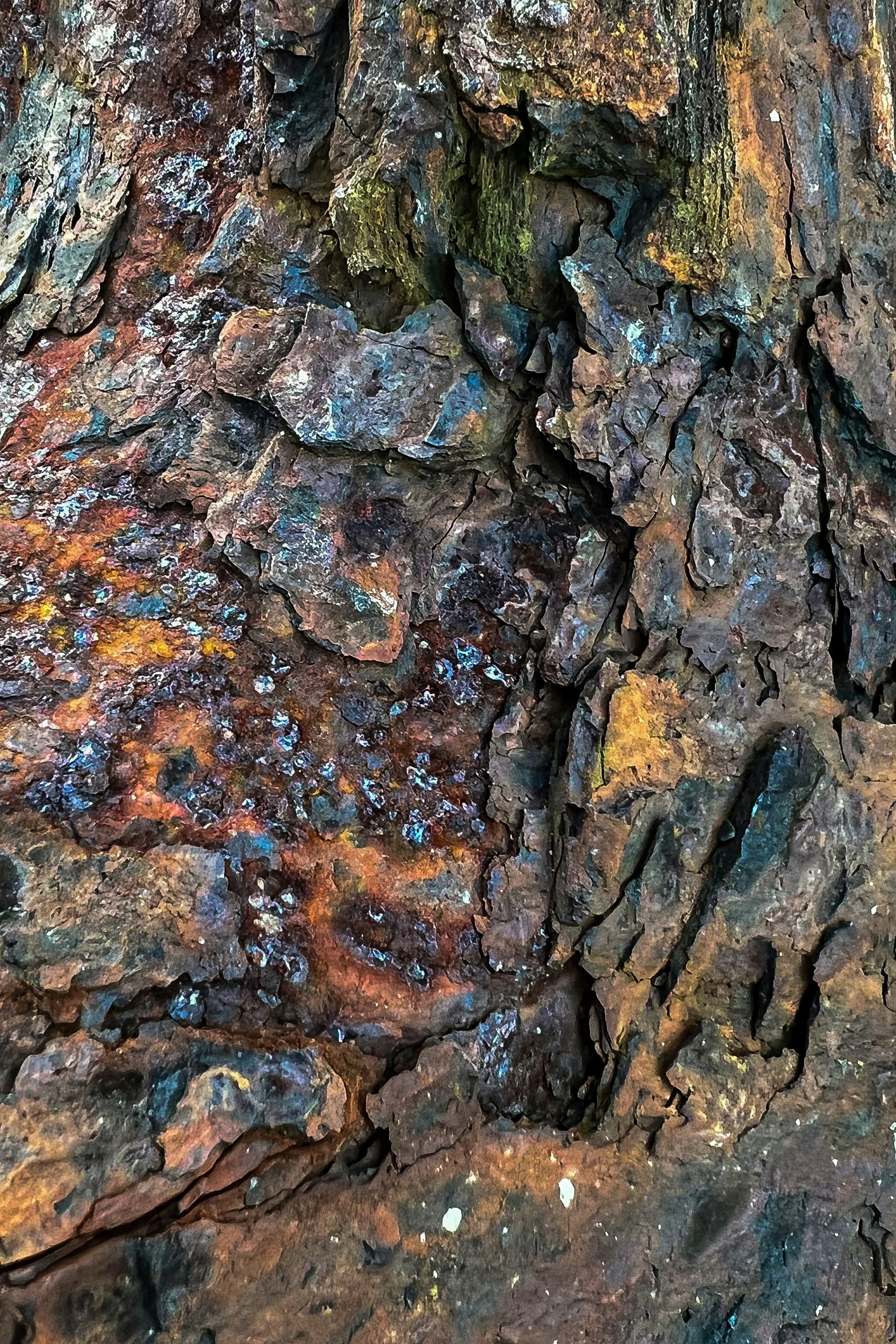 Photo by daaannorris