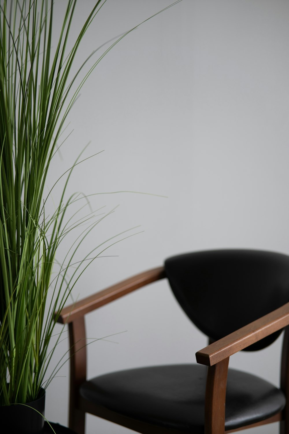 a black chair next to a potted plant