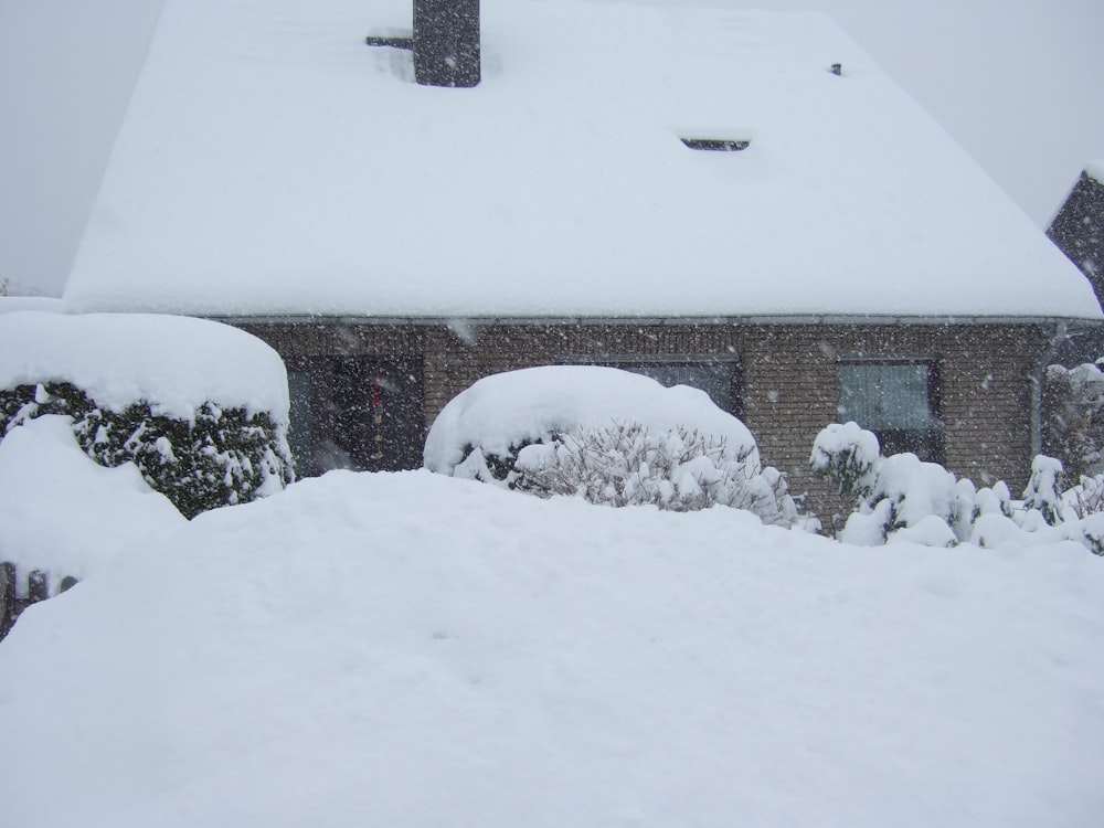 a house covered in snow next to bushes