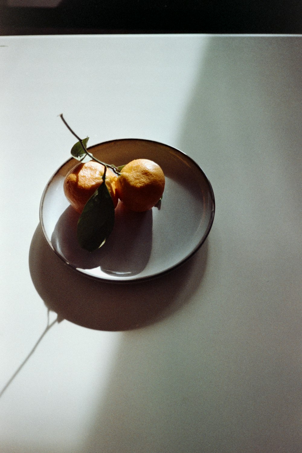 two oranges are on a plate on a table