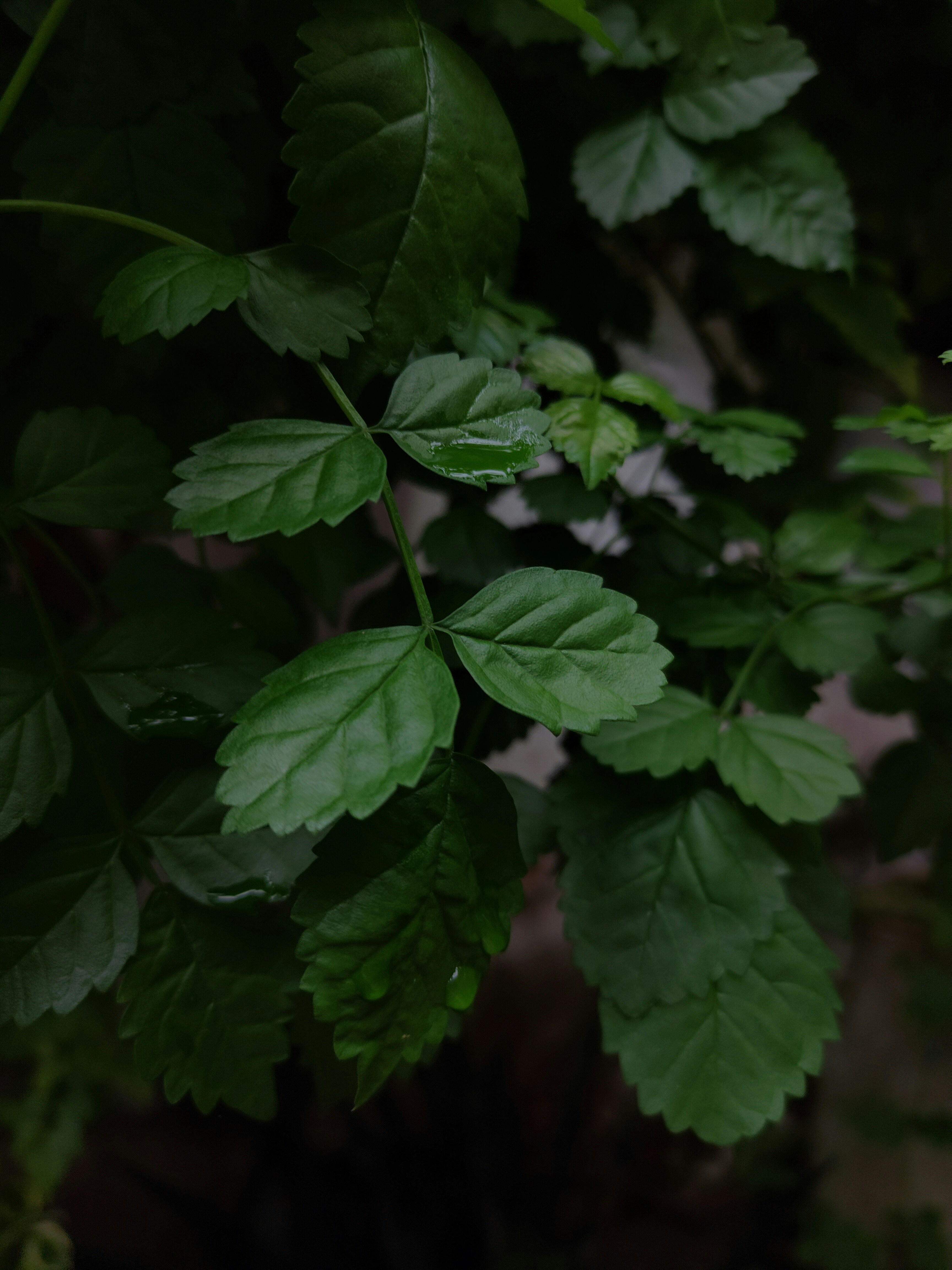 Photo by sujaypaulsp