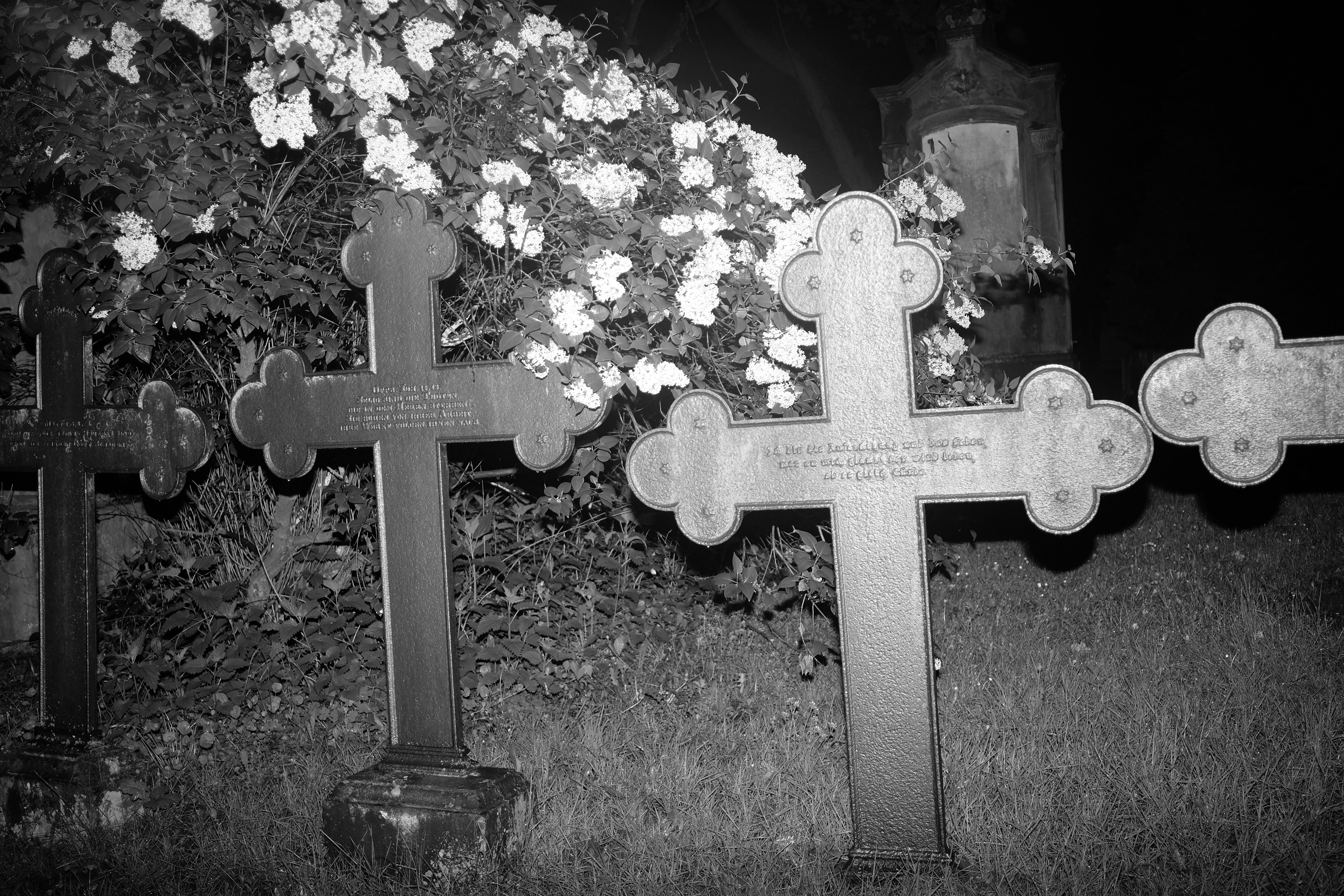 Photo by lukaswaldmann