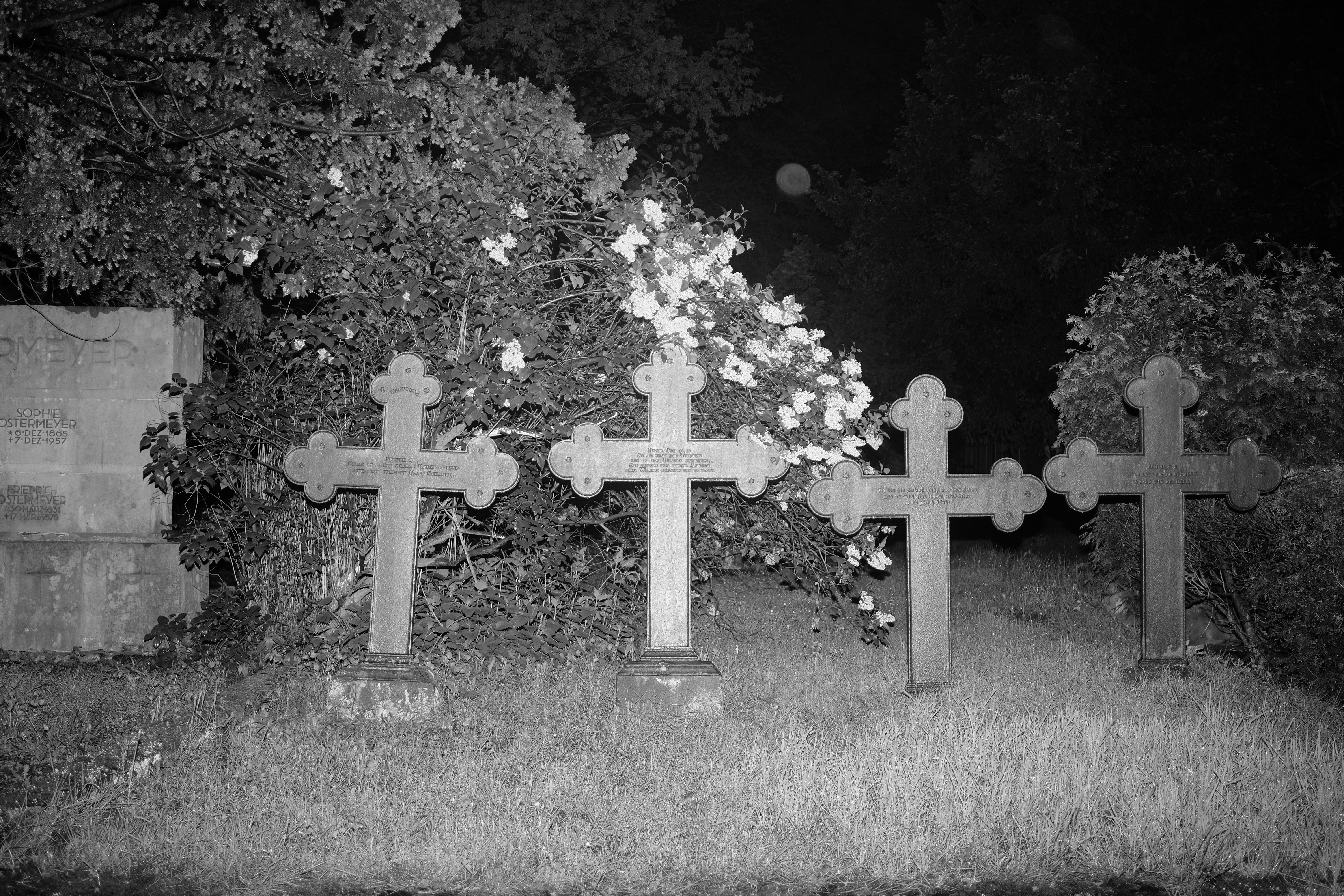 Photo by lukaswaldmann