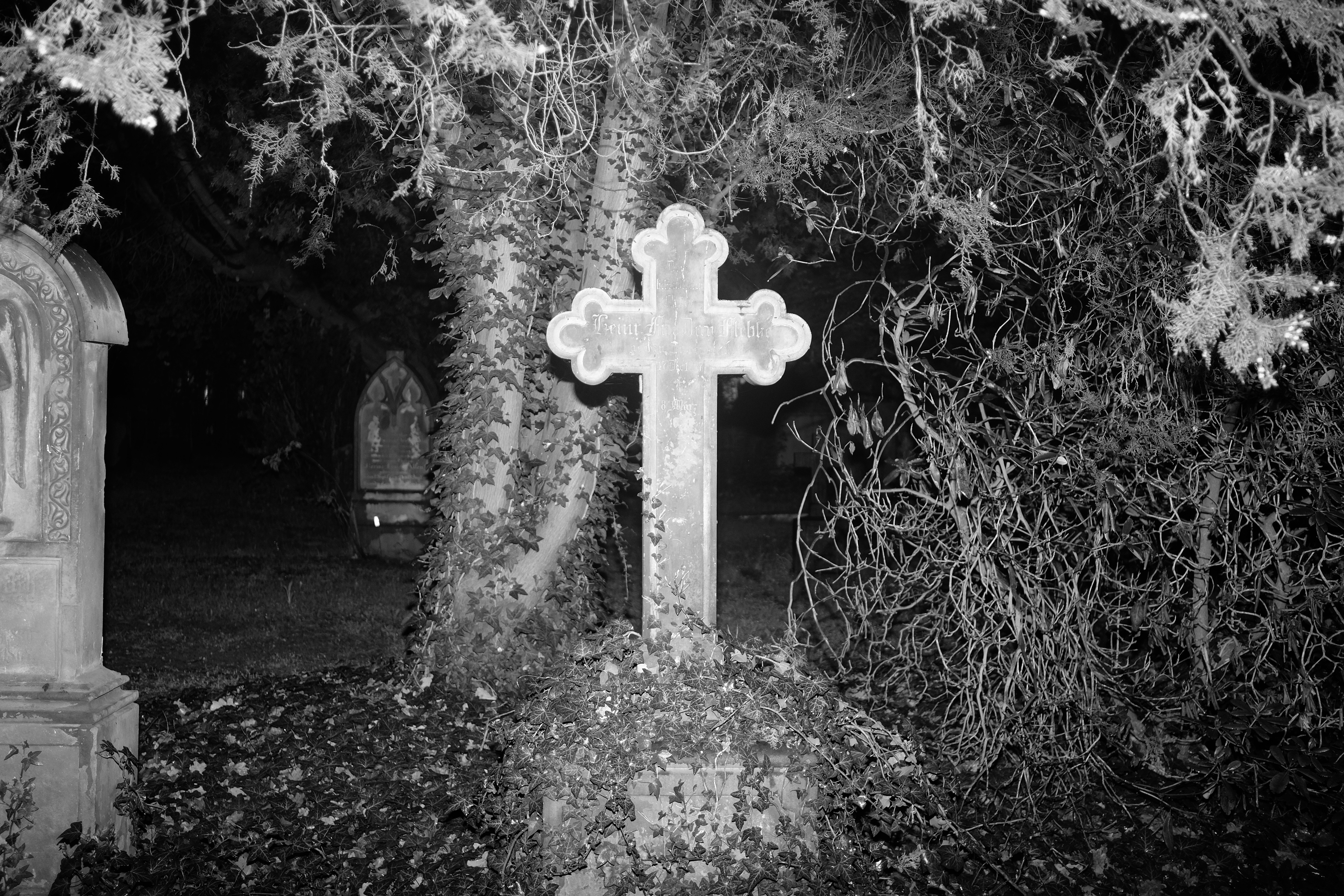 Photo by lukaswaldmann