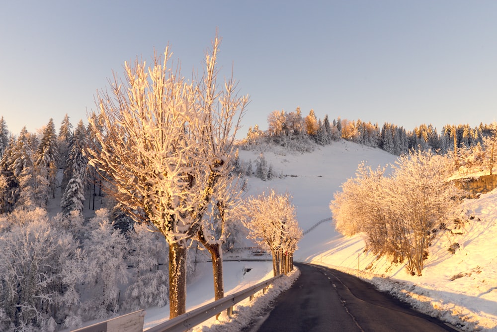 a snowy road with trees and a hill in the background