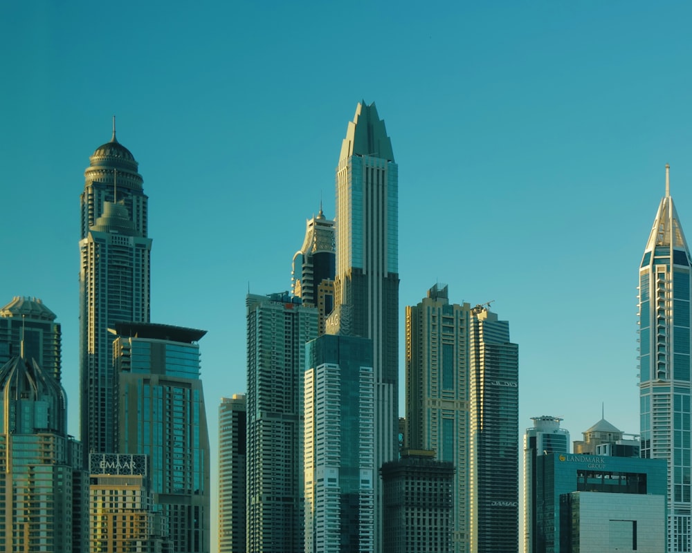 a large group of tall buildings in a city