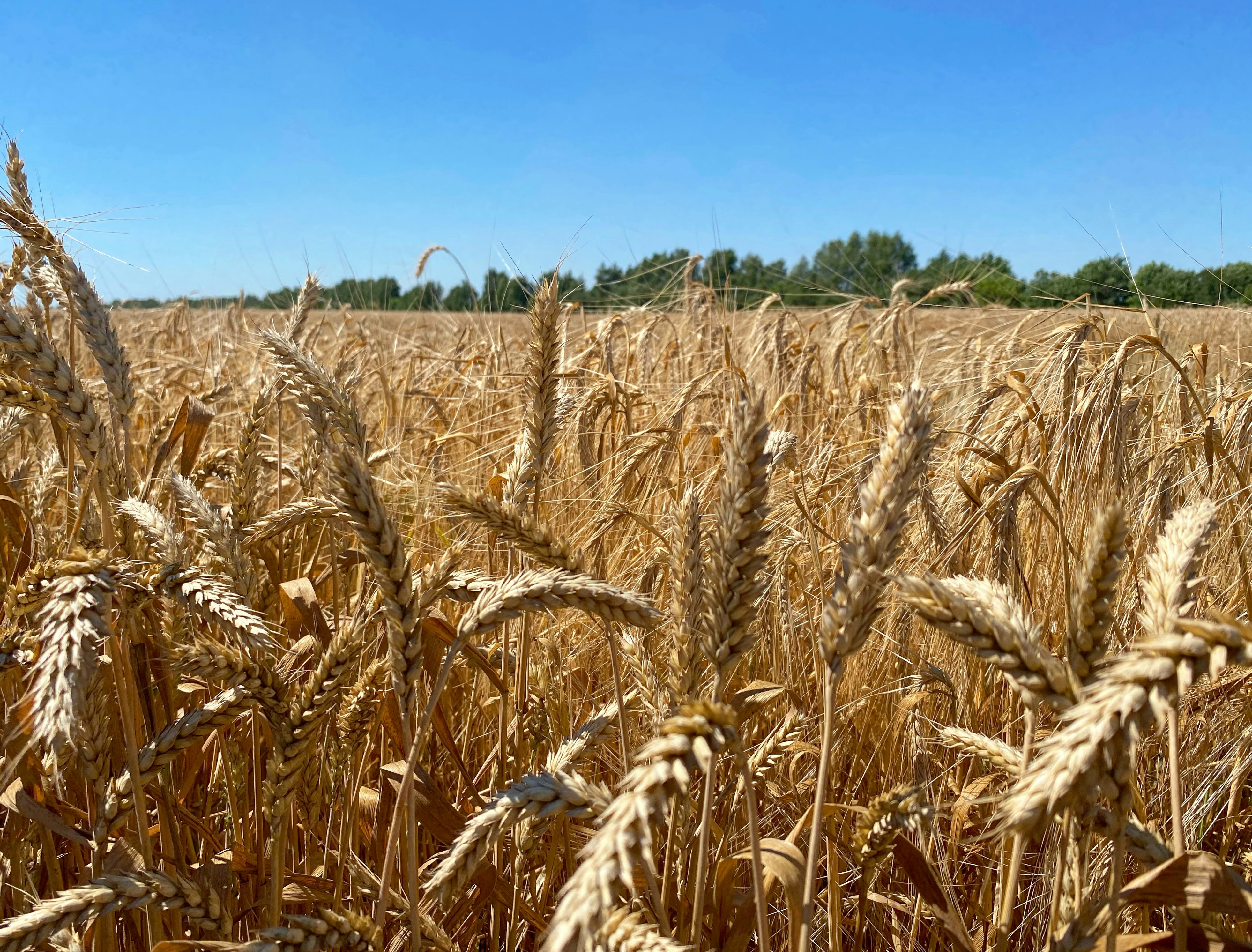 Photo by yaninazarina