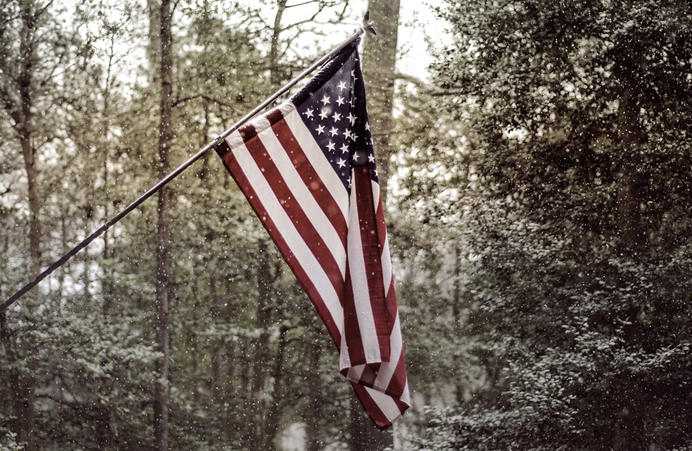 an american flag hanging from a pole in the woods