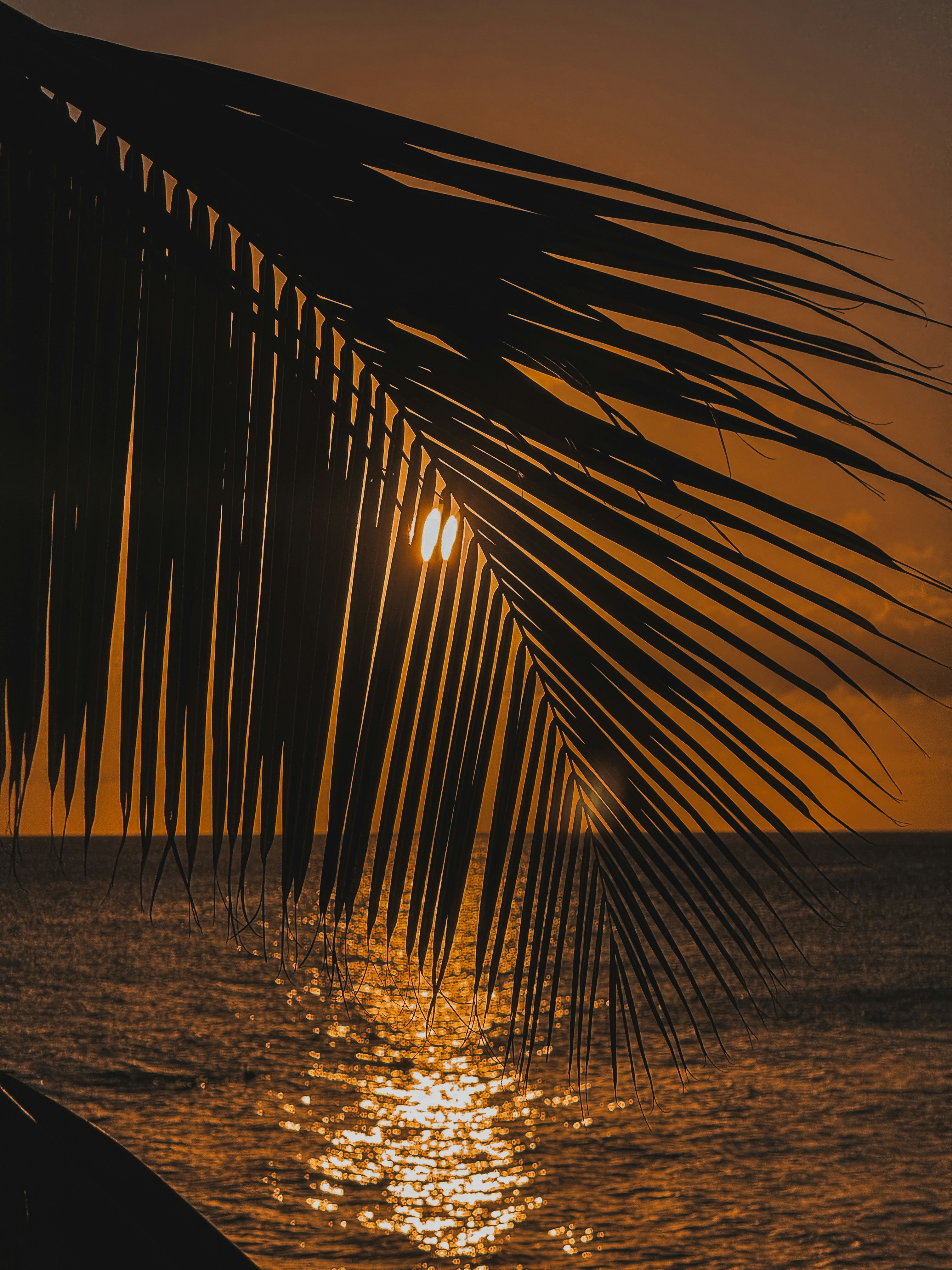 Photo by kwestioning