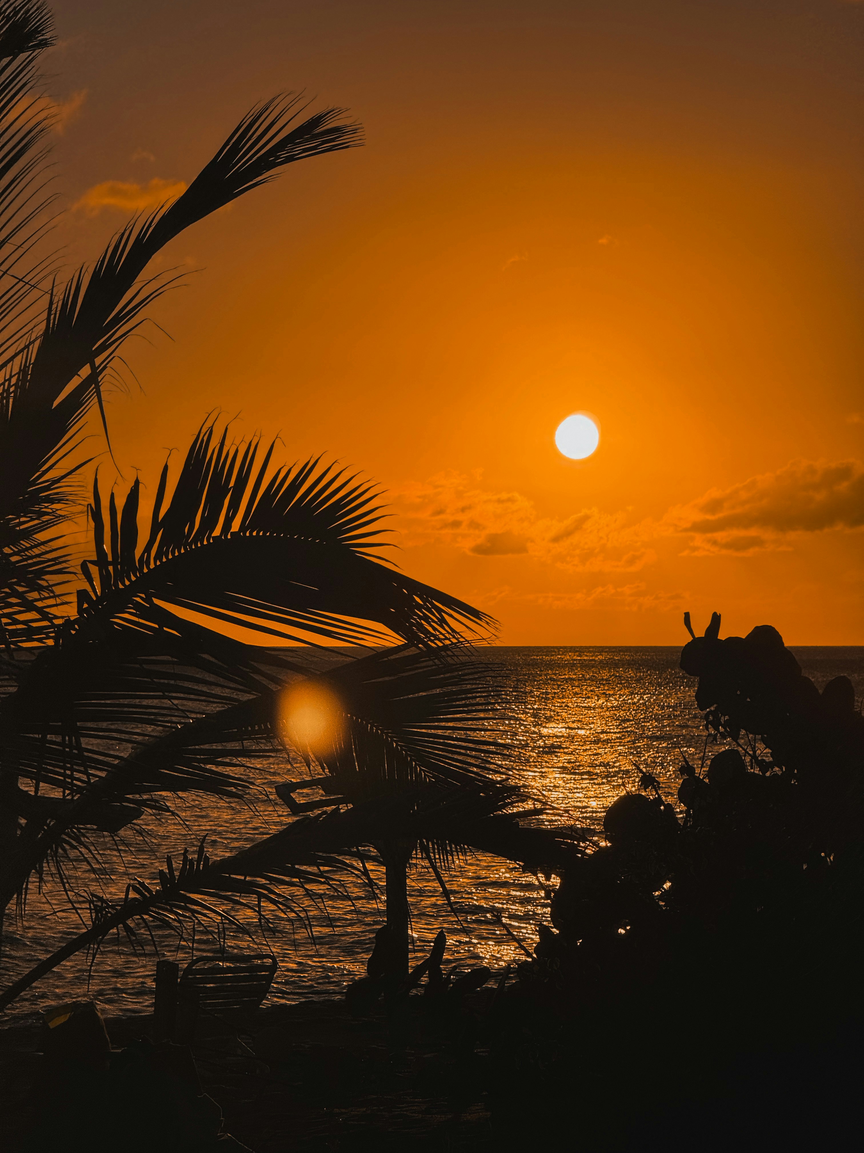 Photo by kwestioning