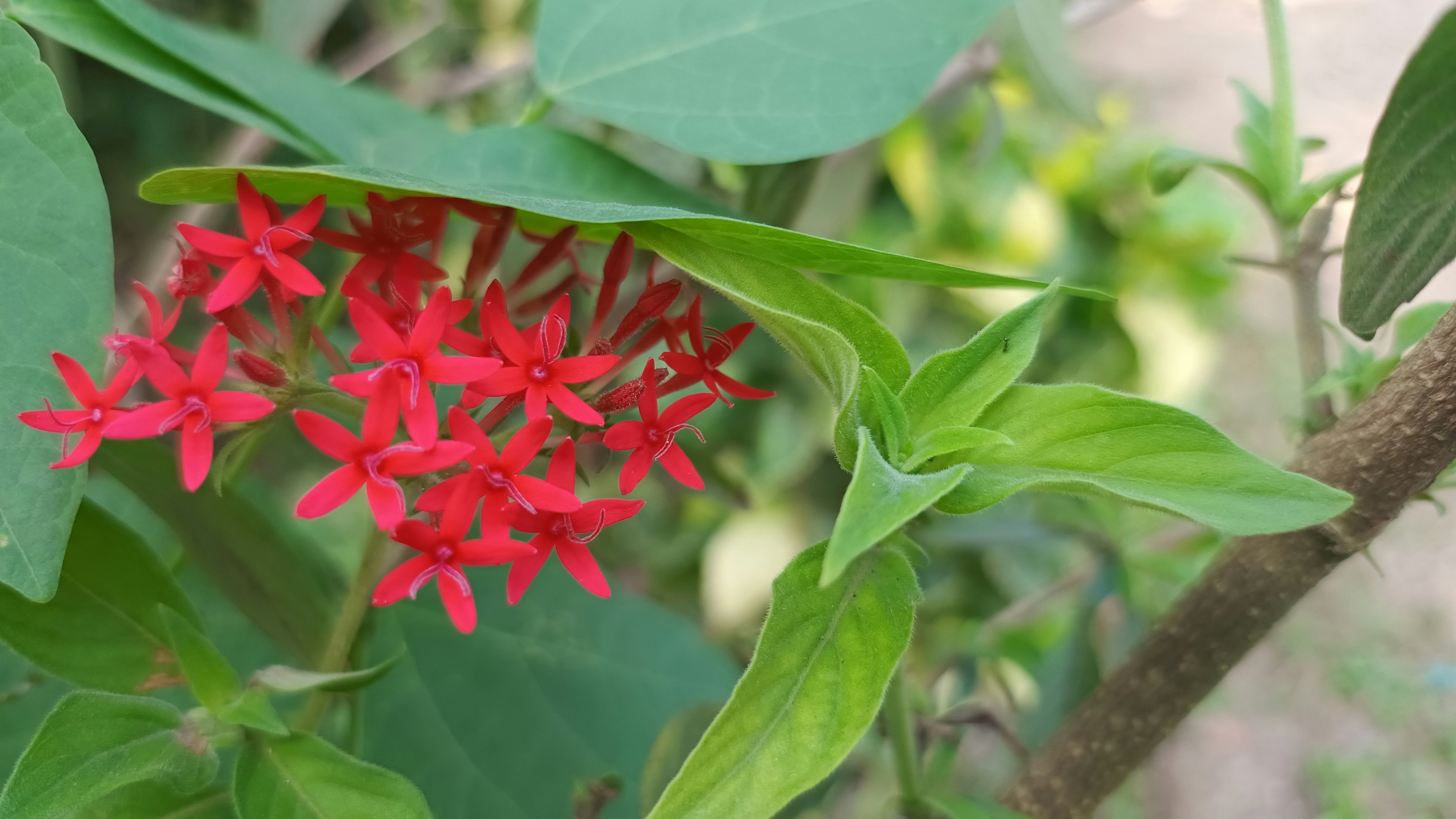 Photo by syamnani140