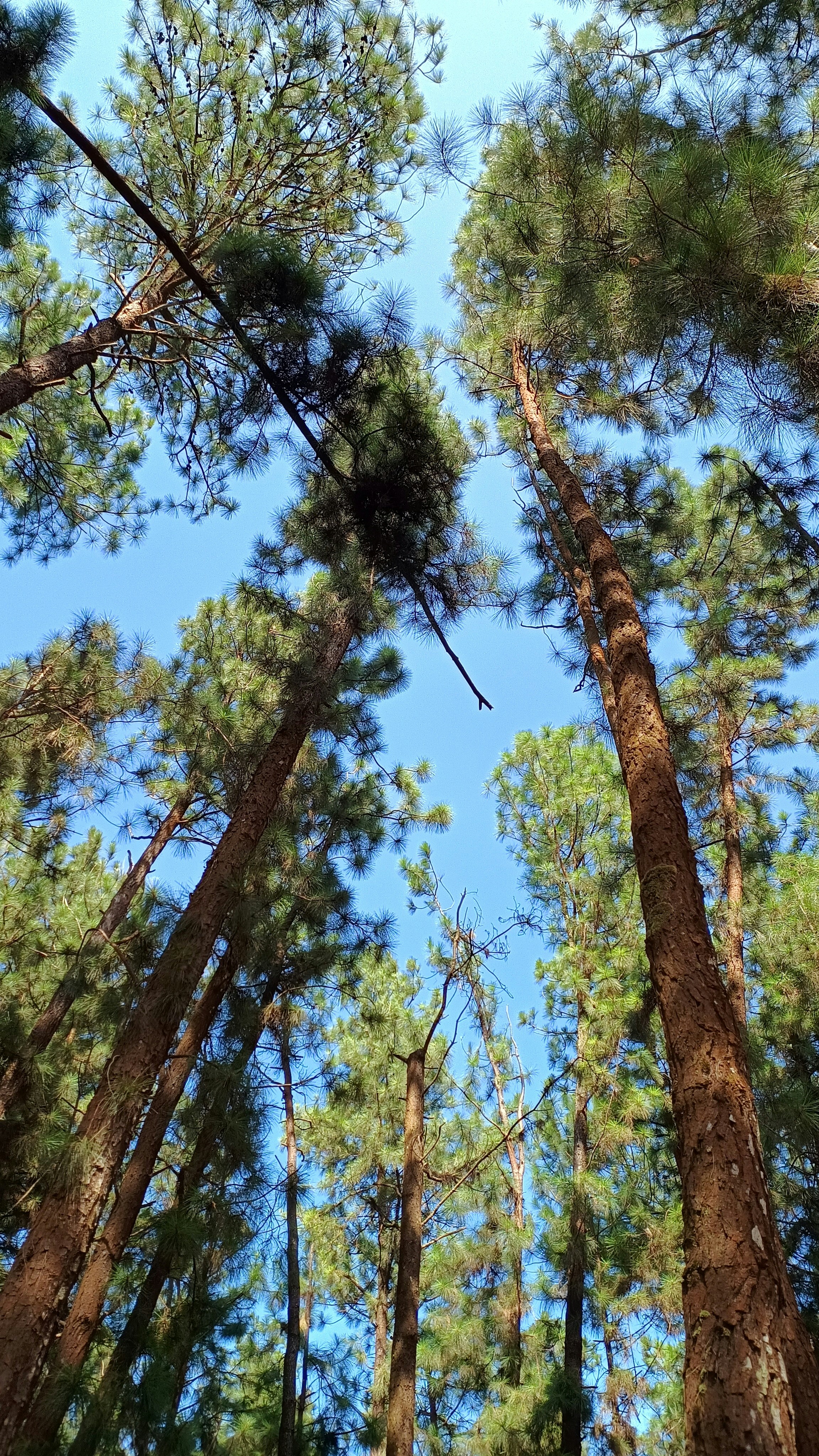 Photo by syamnani140