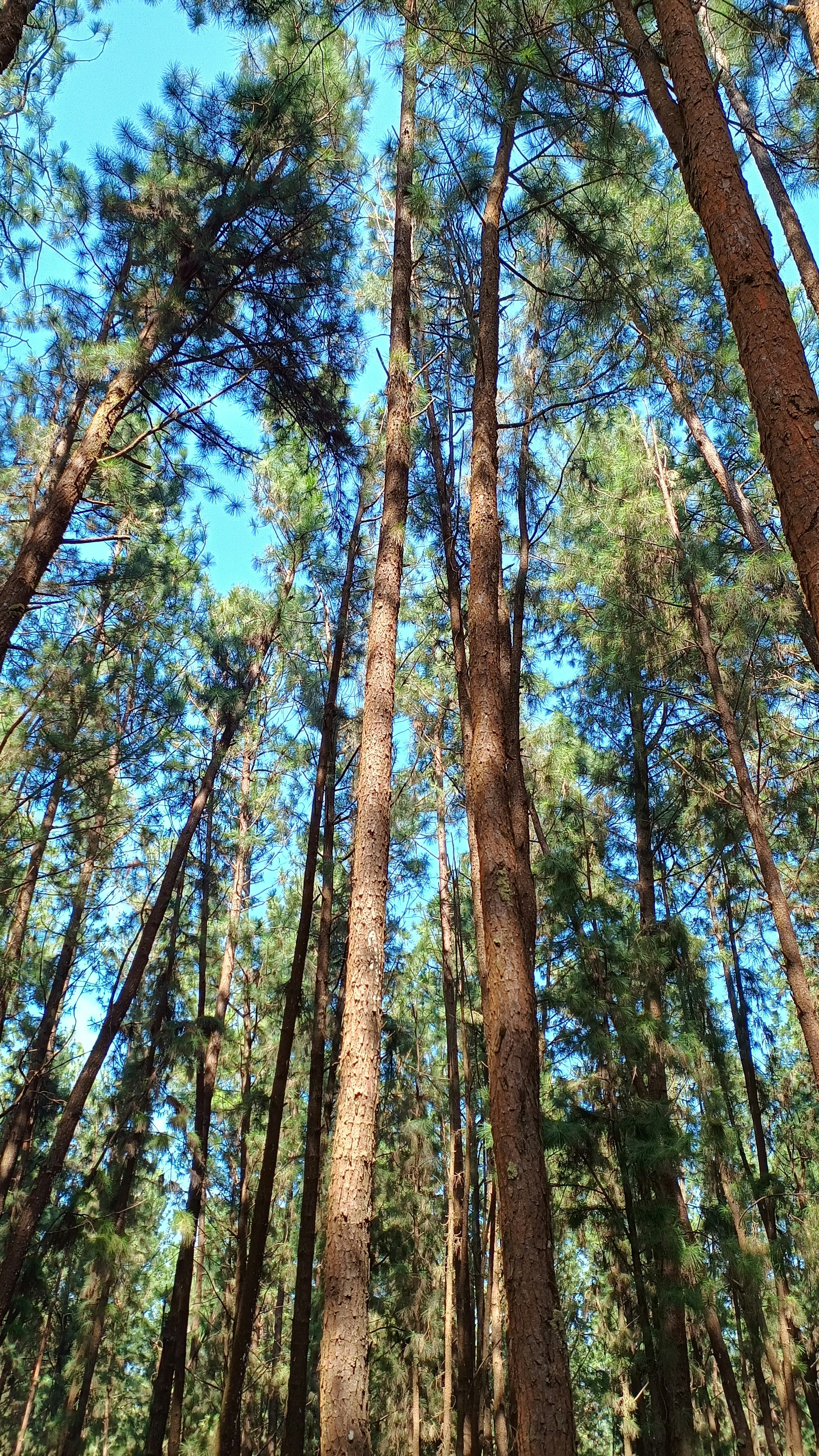 Photo by syamnani140