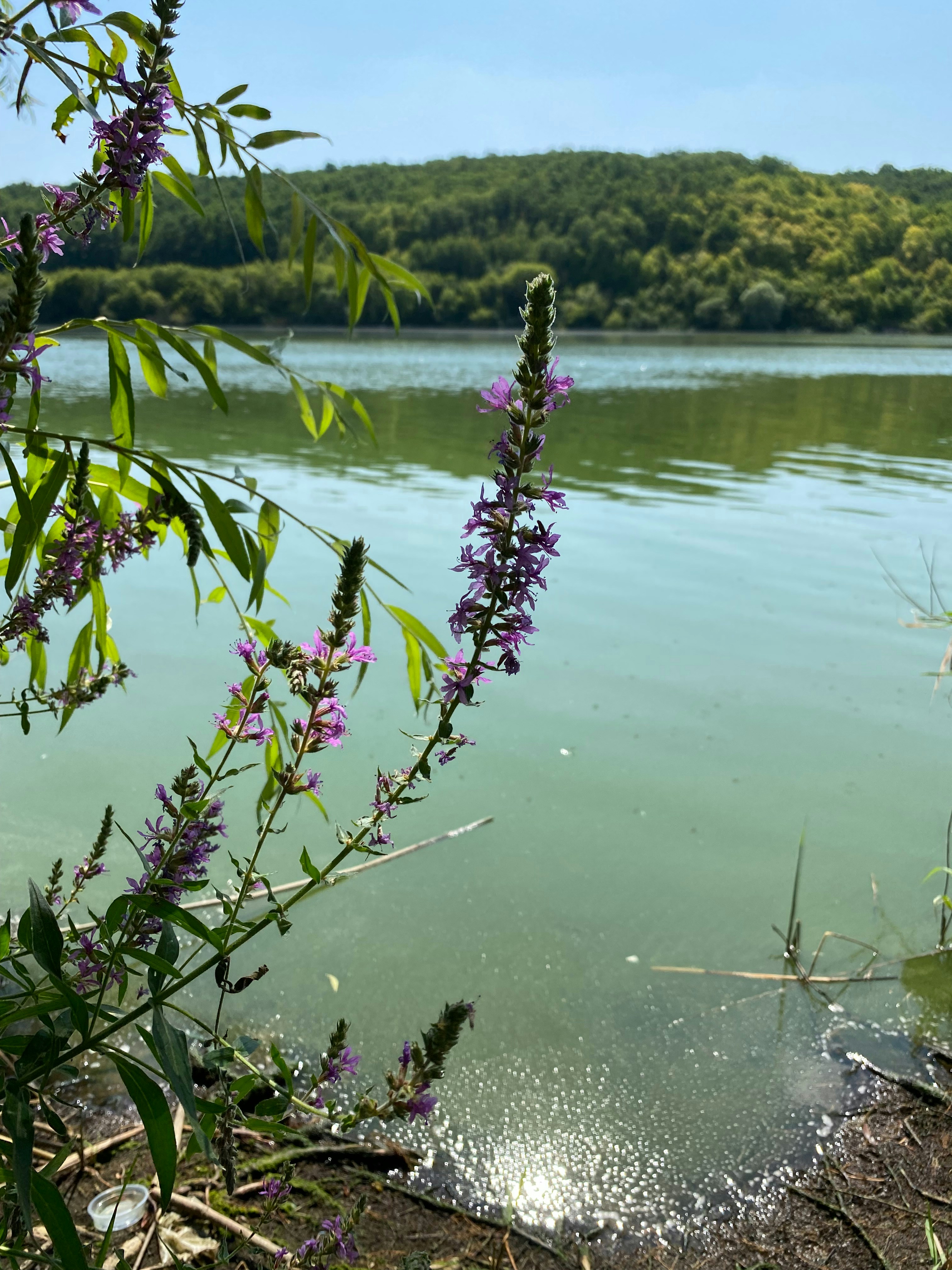 Photo by yaninazarina