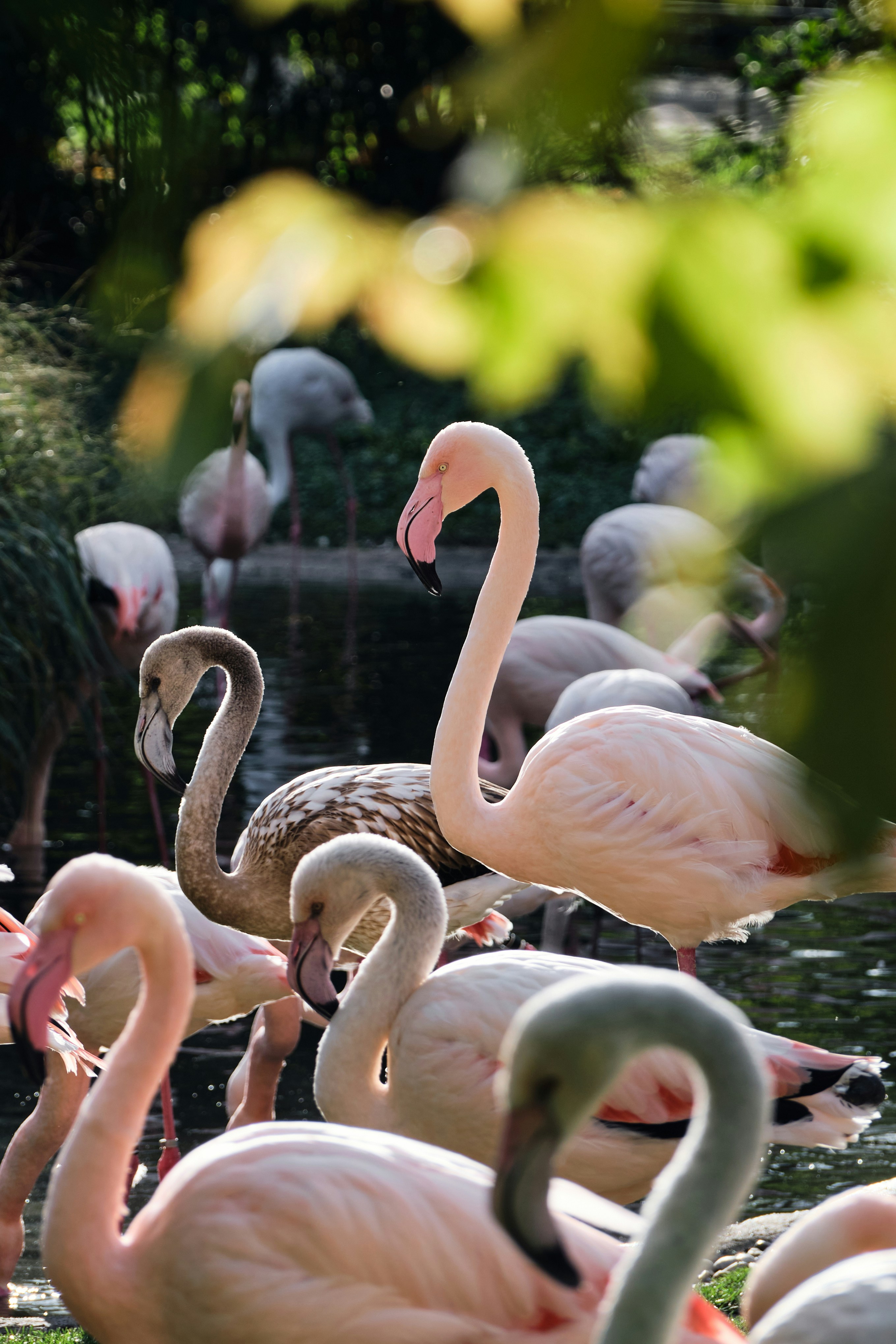 Photo by marcus_ganahl