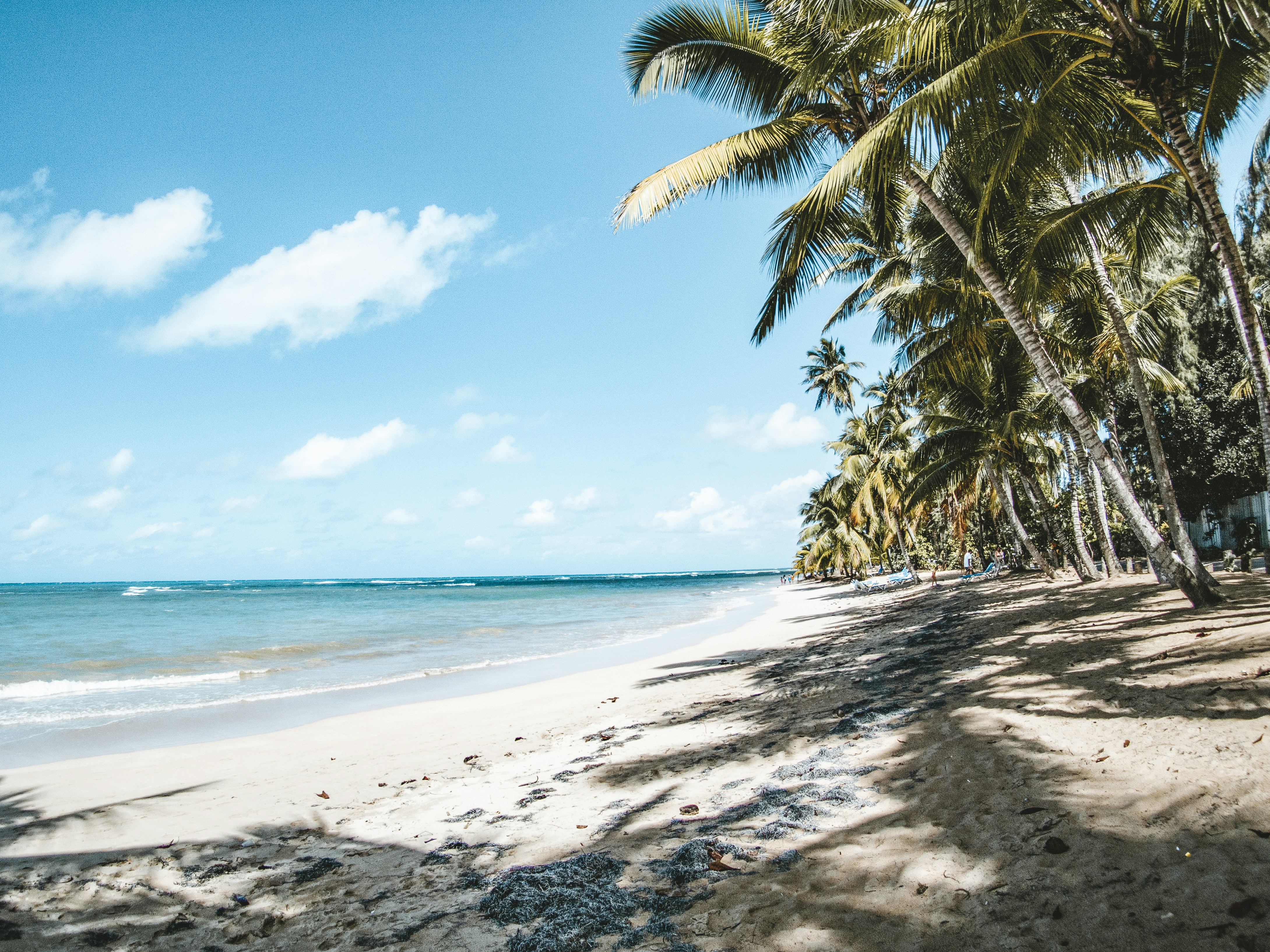 Photo by painapostudio