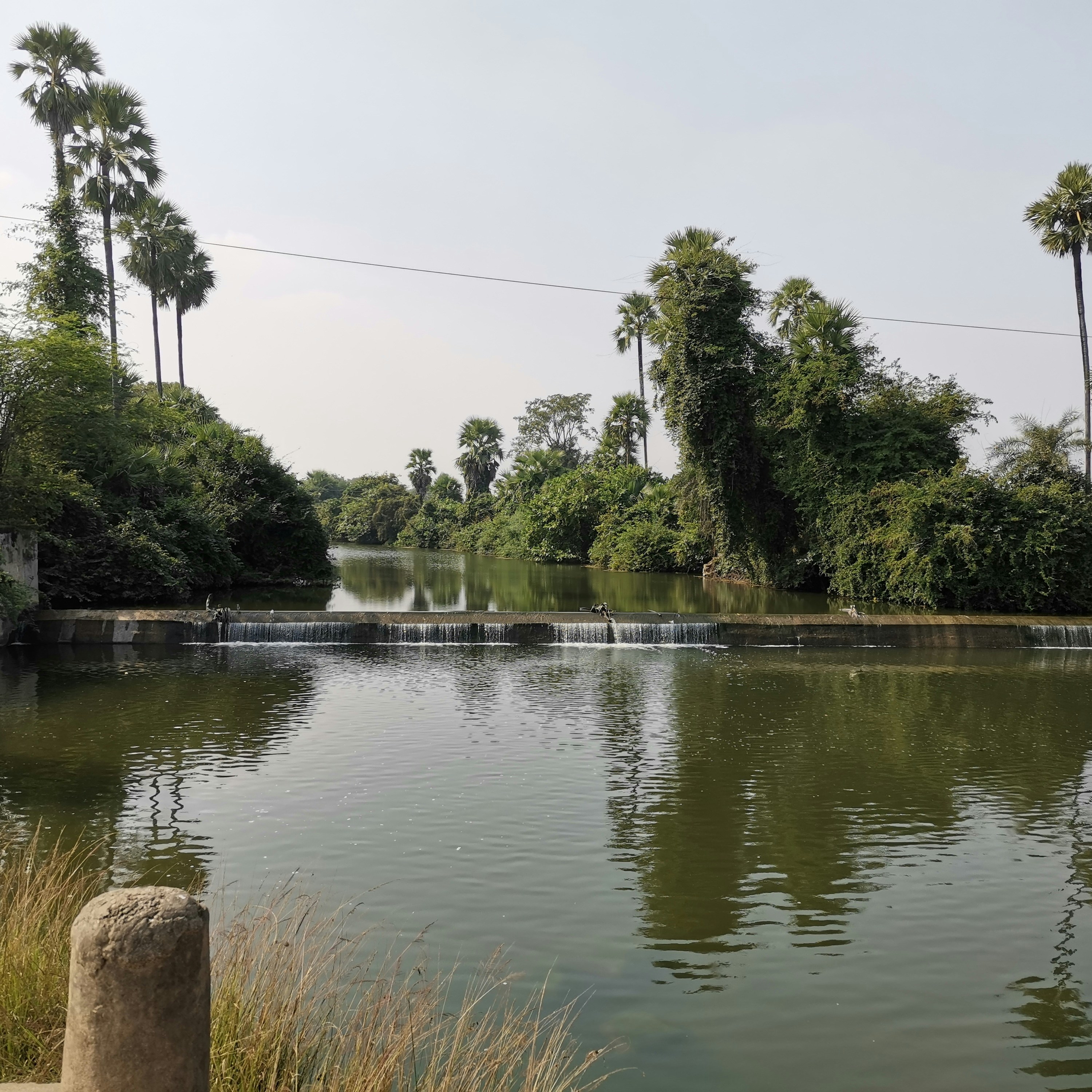 Photo by syedahmed15